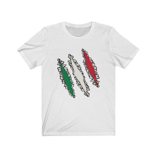 Slashed Italian Flag Shirt | Italy Tee Men Women Clothing