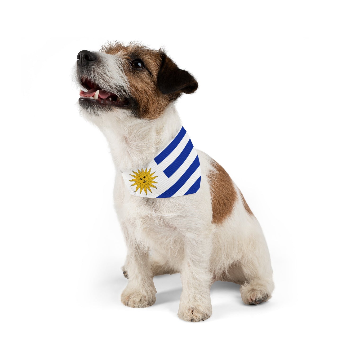 Uruguay Pet Dog Cat Animal Bandana Collar Uruguayan Flag