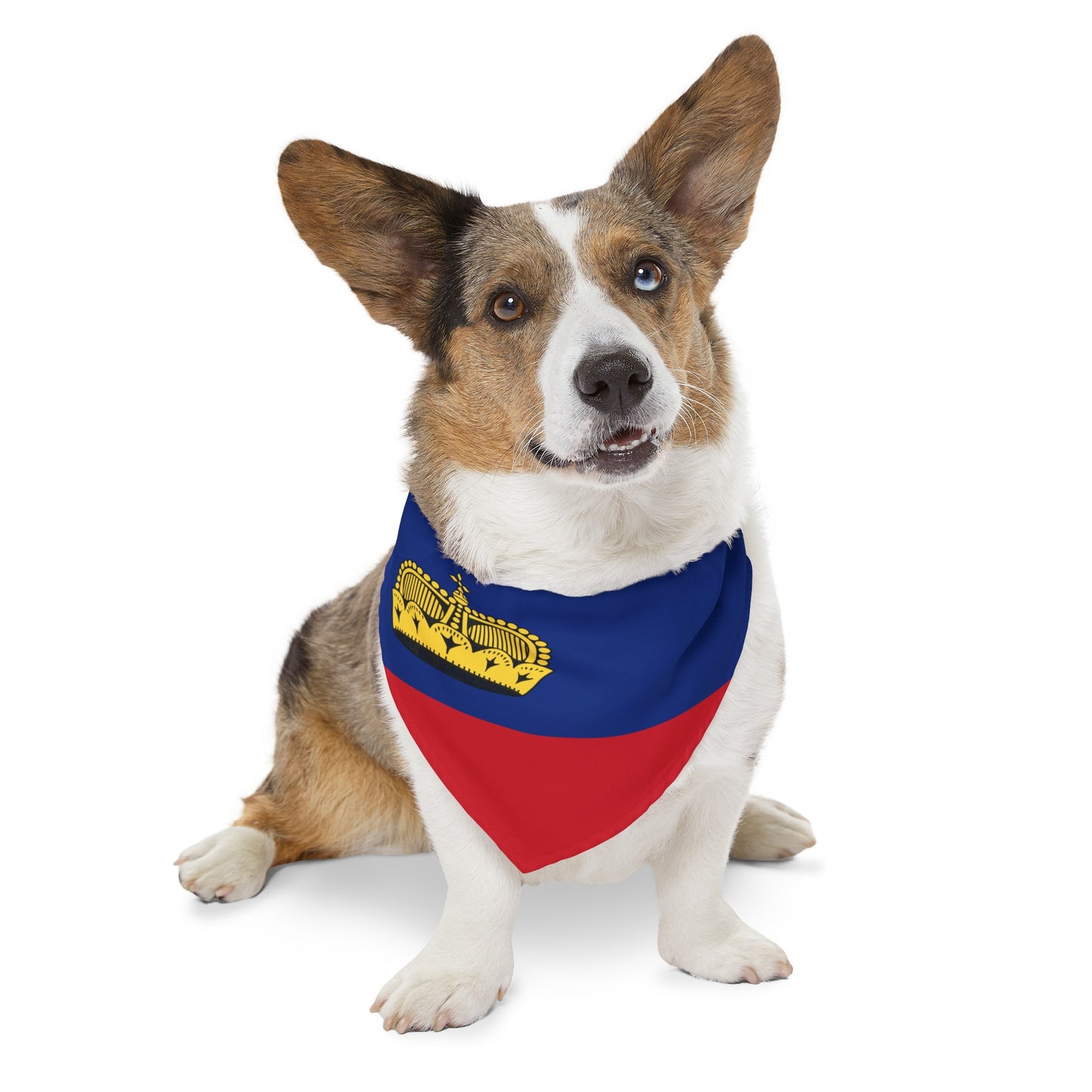 Liechtenstein Flag Pet Dog Cat Animal Bandana Collar