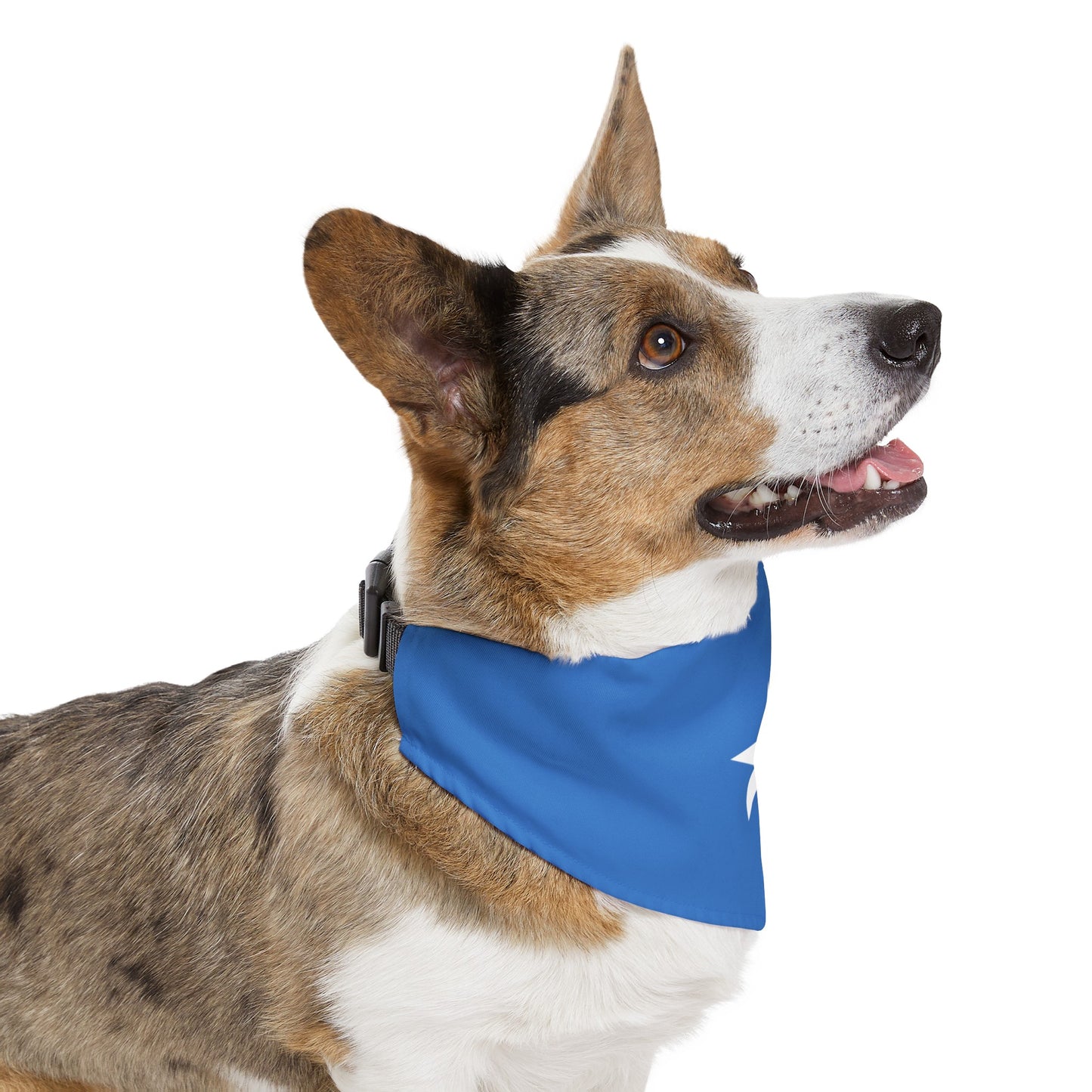 Somalia Pet Bandana Collar | Somalian Dog Cat Animal