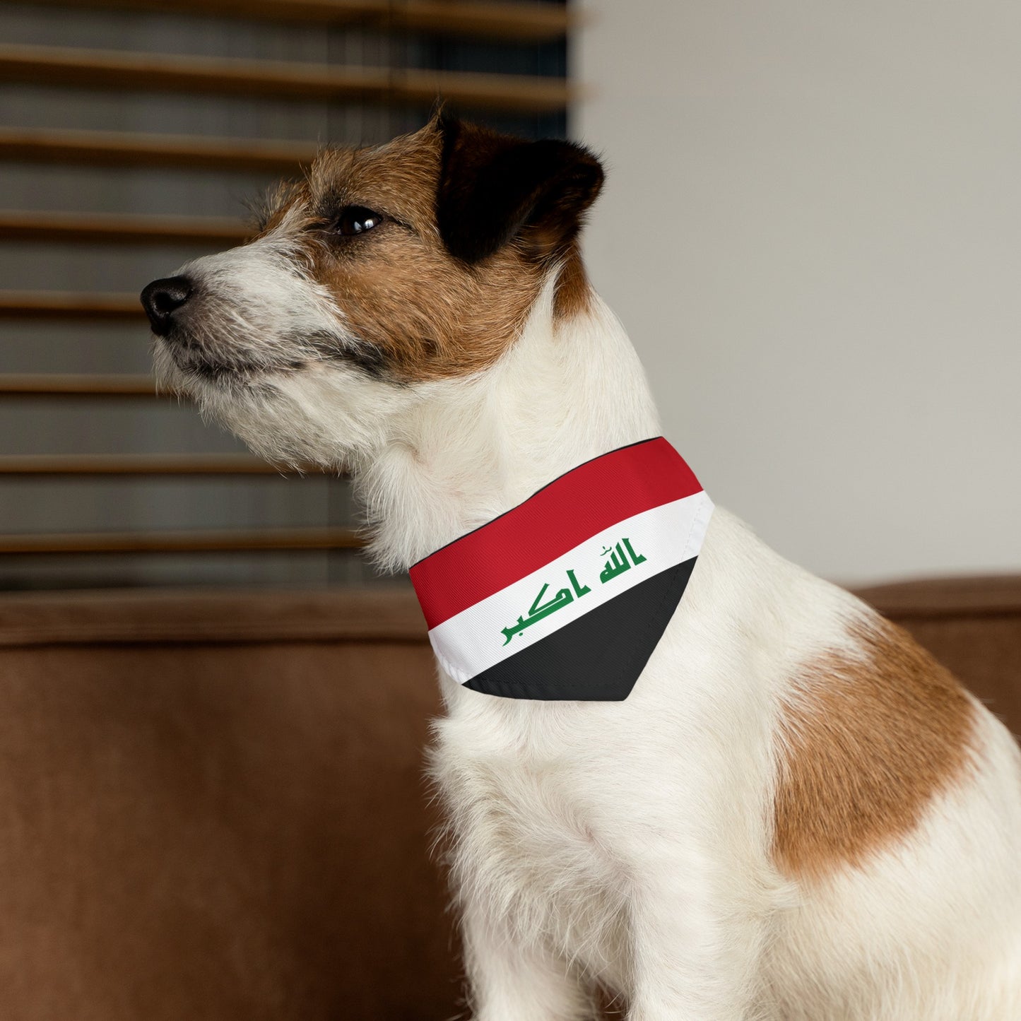 Iraq Pet Bandana Collar | Iraqi Dog Cat Animal