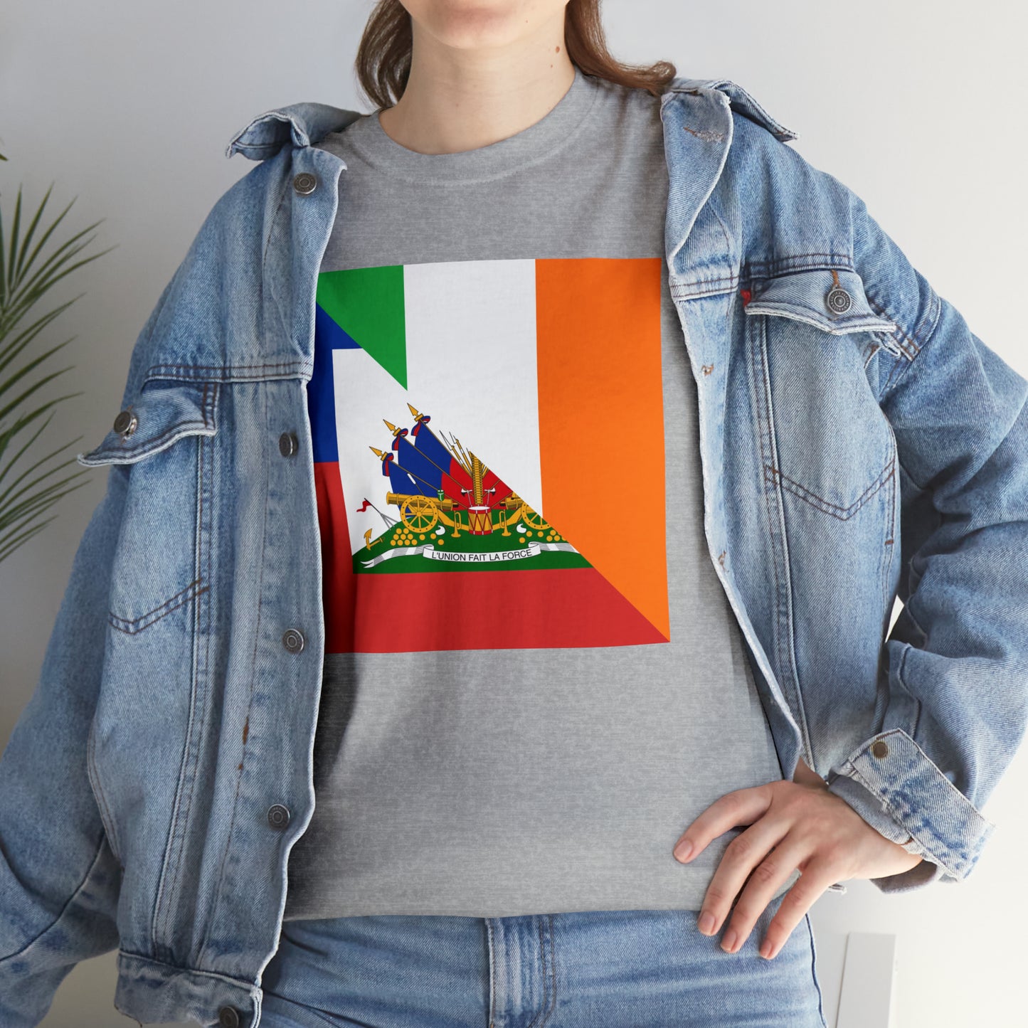 Haitian Irish Flag Half Haiti Ireland T-Shirt | Unisex Tee Shirt