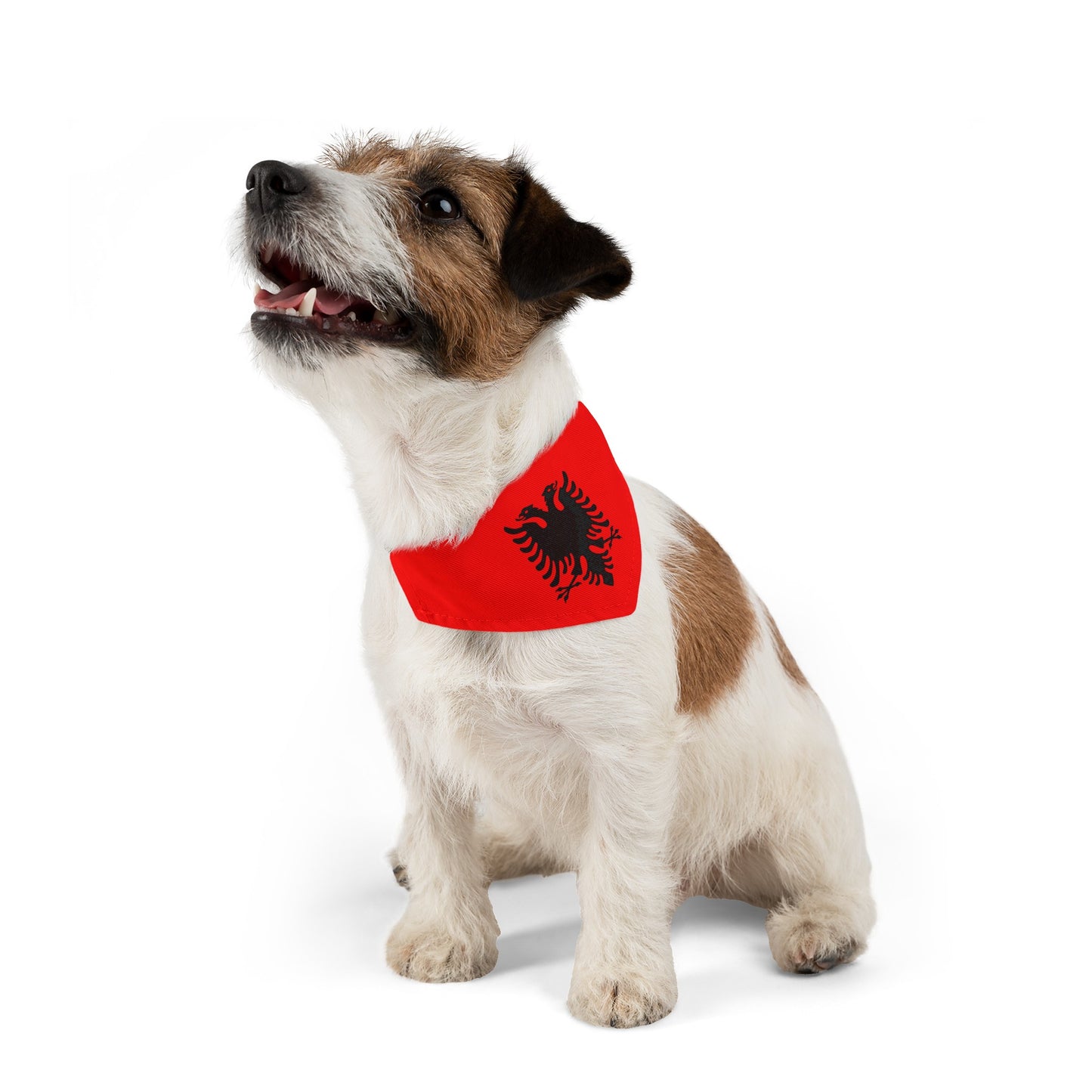 Albanian Flag Pet Bandana Collar | Albania Dog Cat Animal