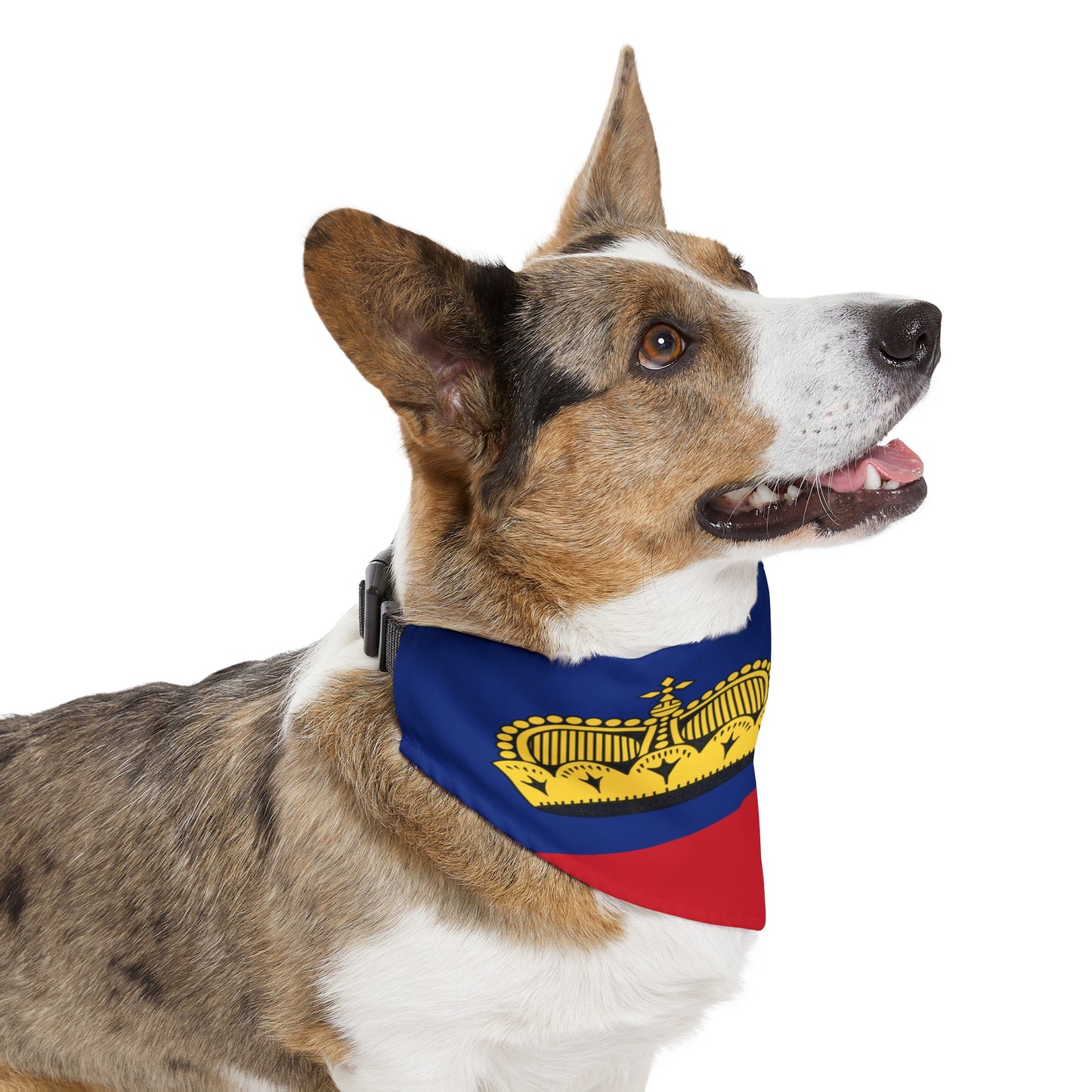 Liechtenstein Flag Pet Dog Cat Animal Bandana Collar