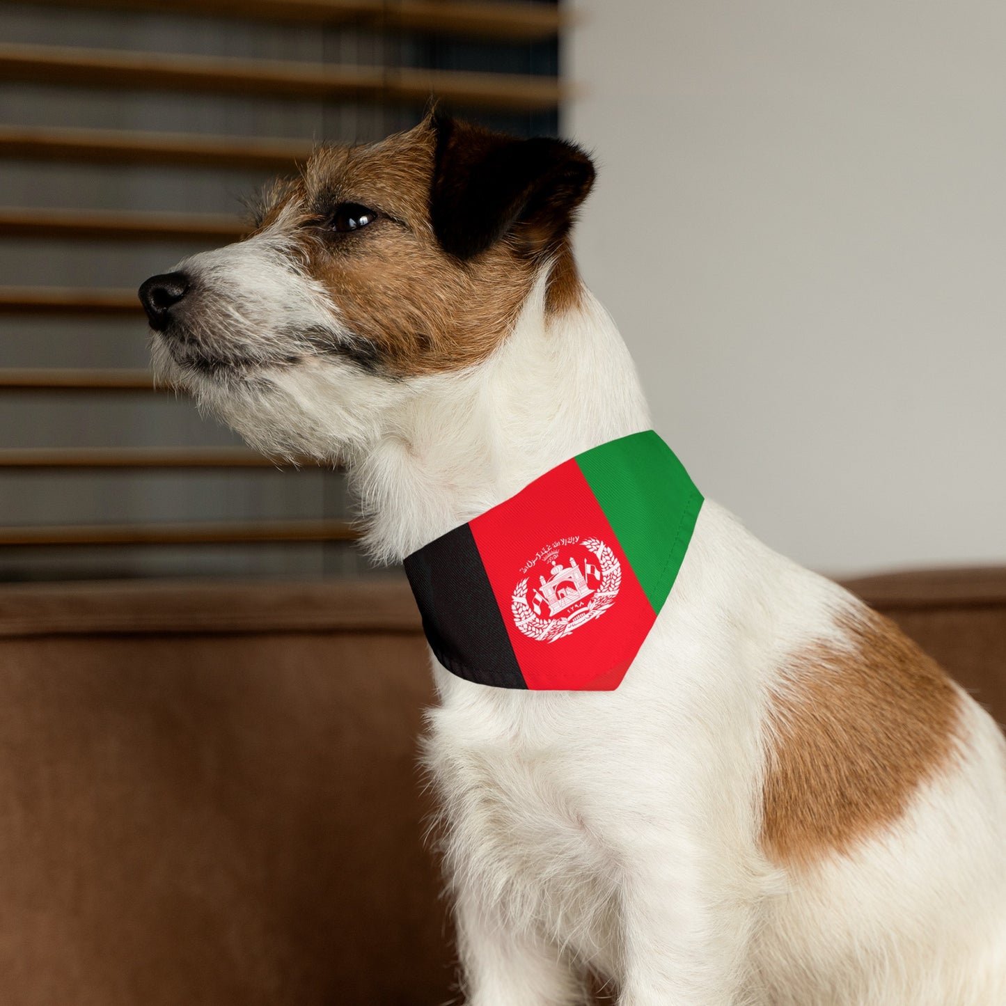 Afghanistan Pet Bandana Collar | Afghan Dog Cat Animal