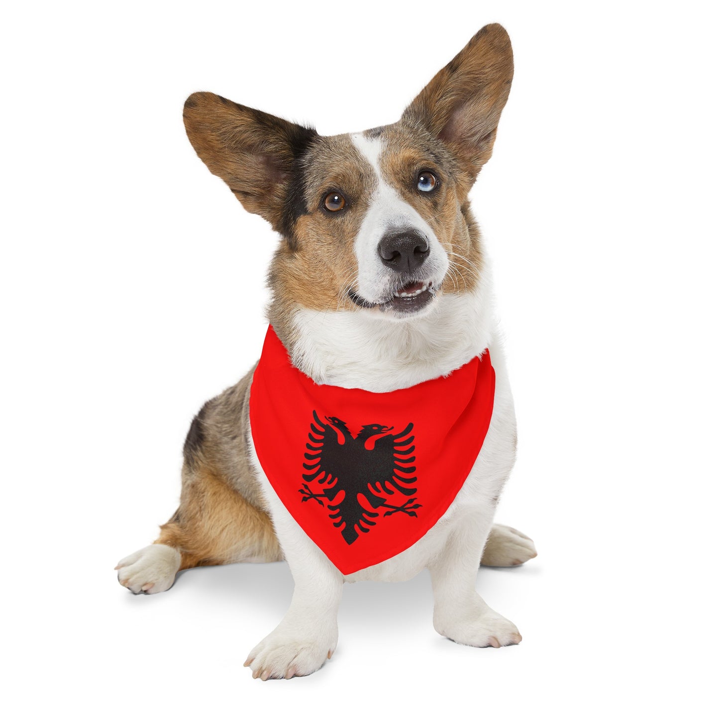 Albanian Flag Pet Bandana Collar | Albania Dog Cat Animal