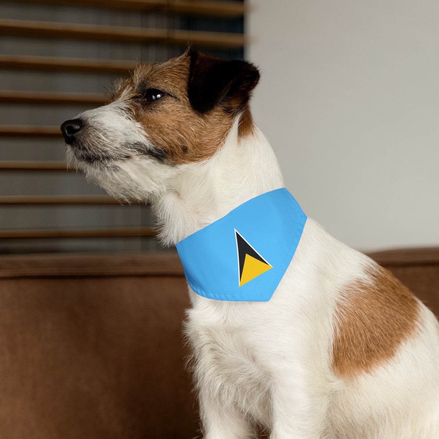 St. Lucian Pet Bandana Collar | St. Lucia Flag Dog Cat Animal