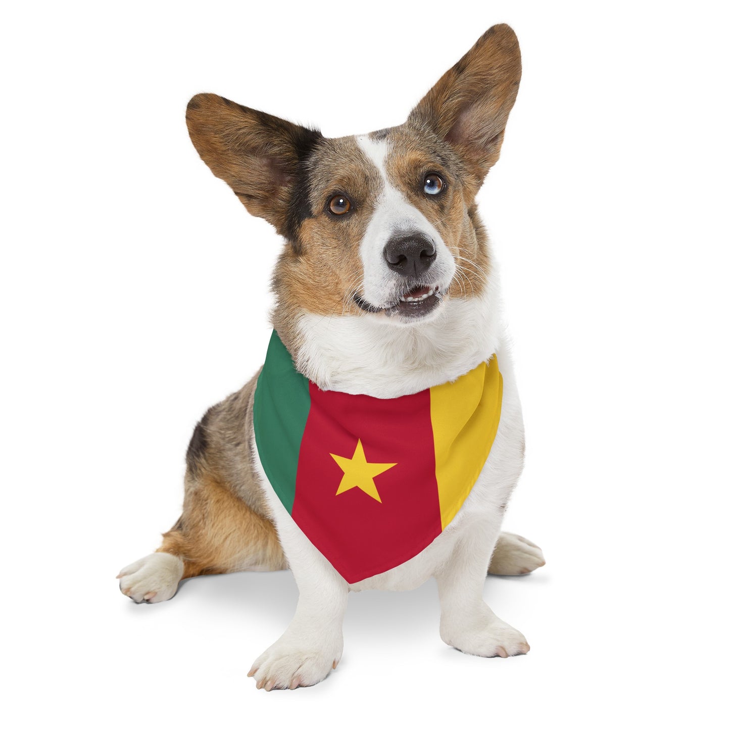 Cameroon Pet Bandana Collar | Cameroonian flag Dog Cat Animal