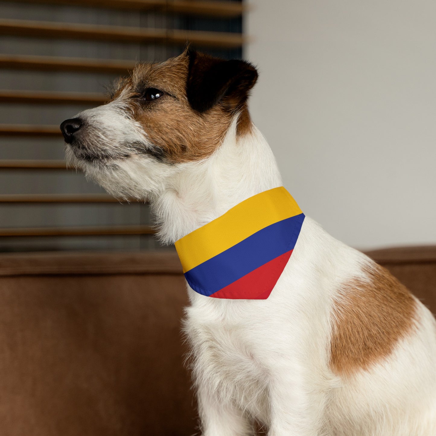 Colombia Pet Dog Cat Animal Bandana Collar