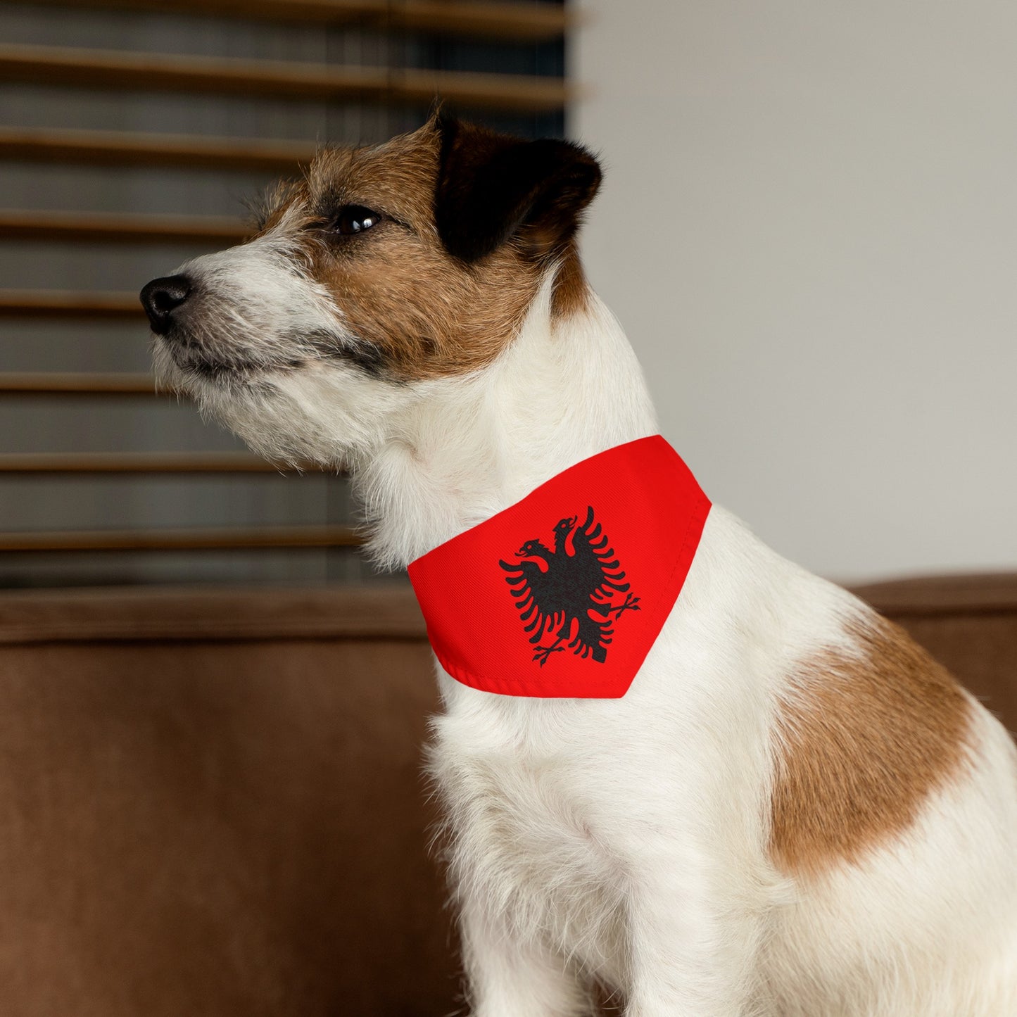 Albanian Flag Pet Bandana Collar | Albania Dog Cat Animal