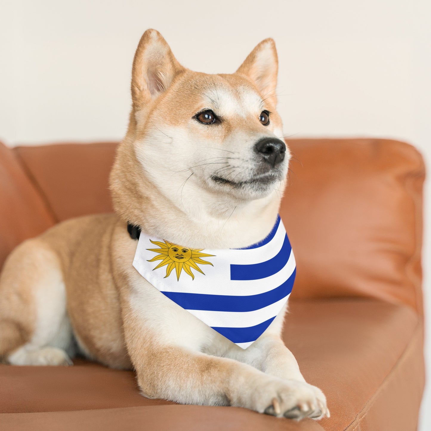 Uruguay Pet Dog Cat Animal Bandana Collar Uruguayan Flag