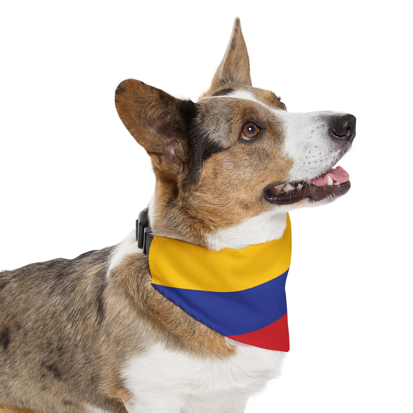 Colombia Pet Dog Cat Animal Bandana Collar