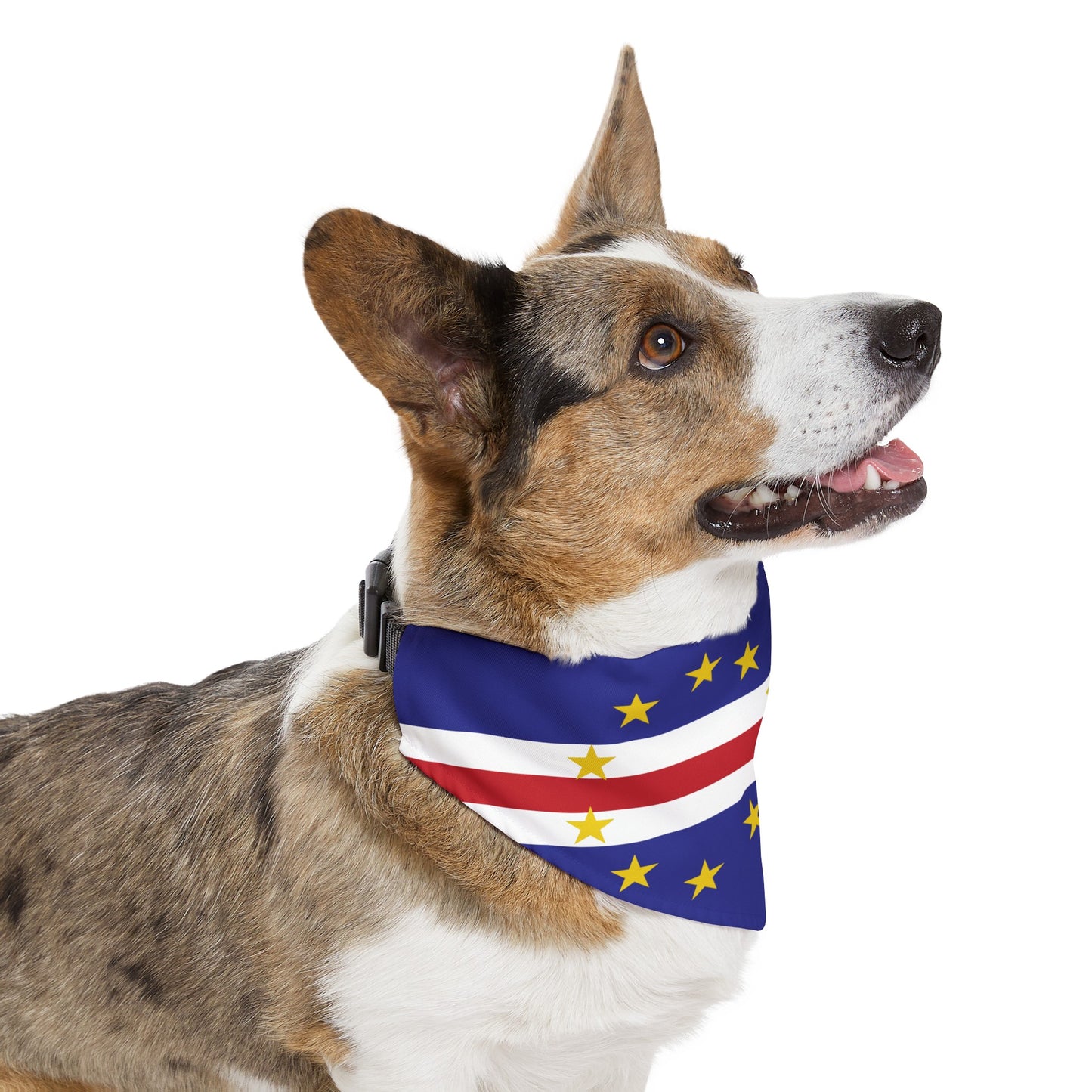 Cape Verde Flag Pet Bandana Collar | Animal Cat Dog Collar Cape Verdean