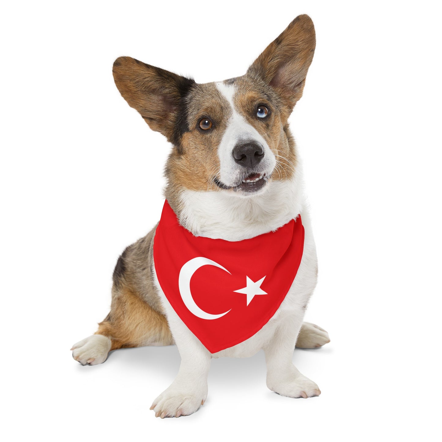 Turkey Pet Bandana Collar | Turkish Flag Dog Cat Animal