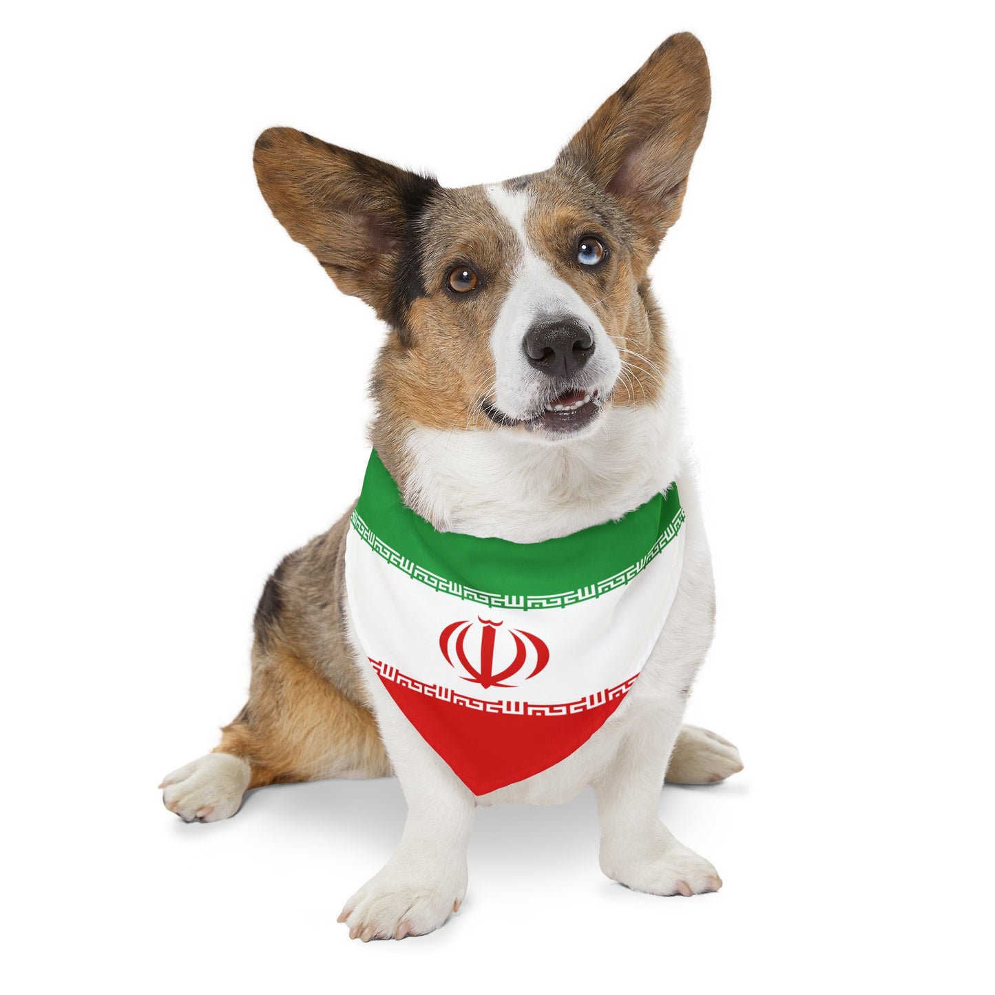 Iranian Pet Bandana Collar | Iran Dog Cat Animal