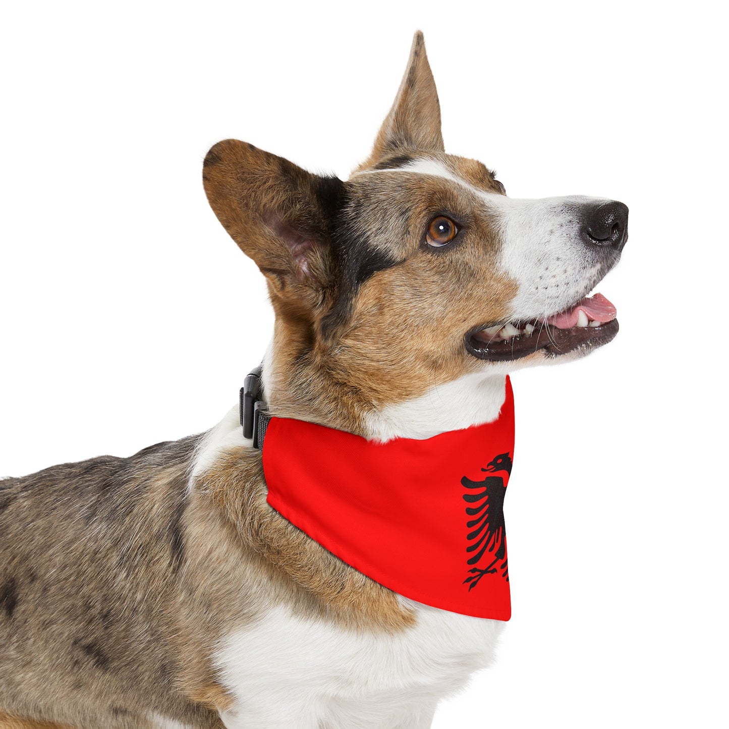 Albanian Flag Pet Bandana Collar | Albania Dog Cat Animal