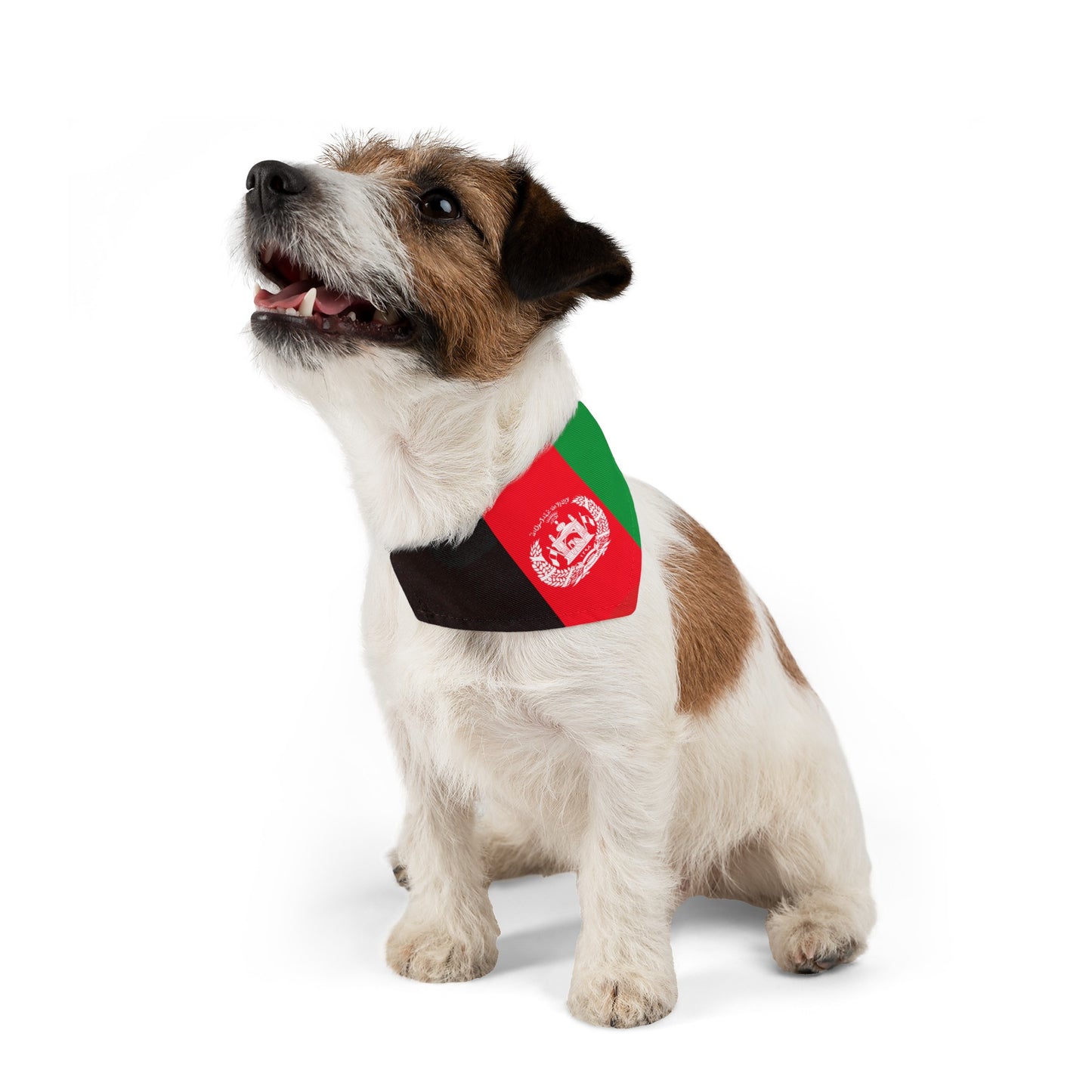 Afghanistan Pet Bandana Collar | Afghan Dog Cat Animal