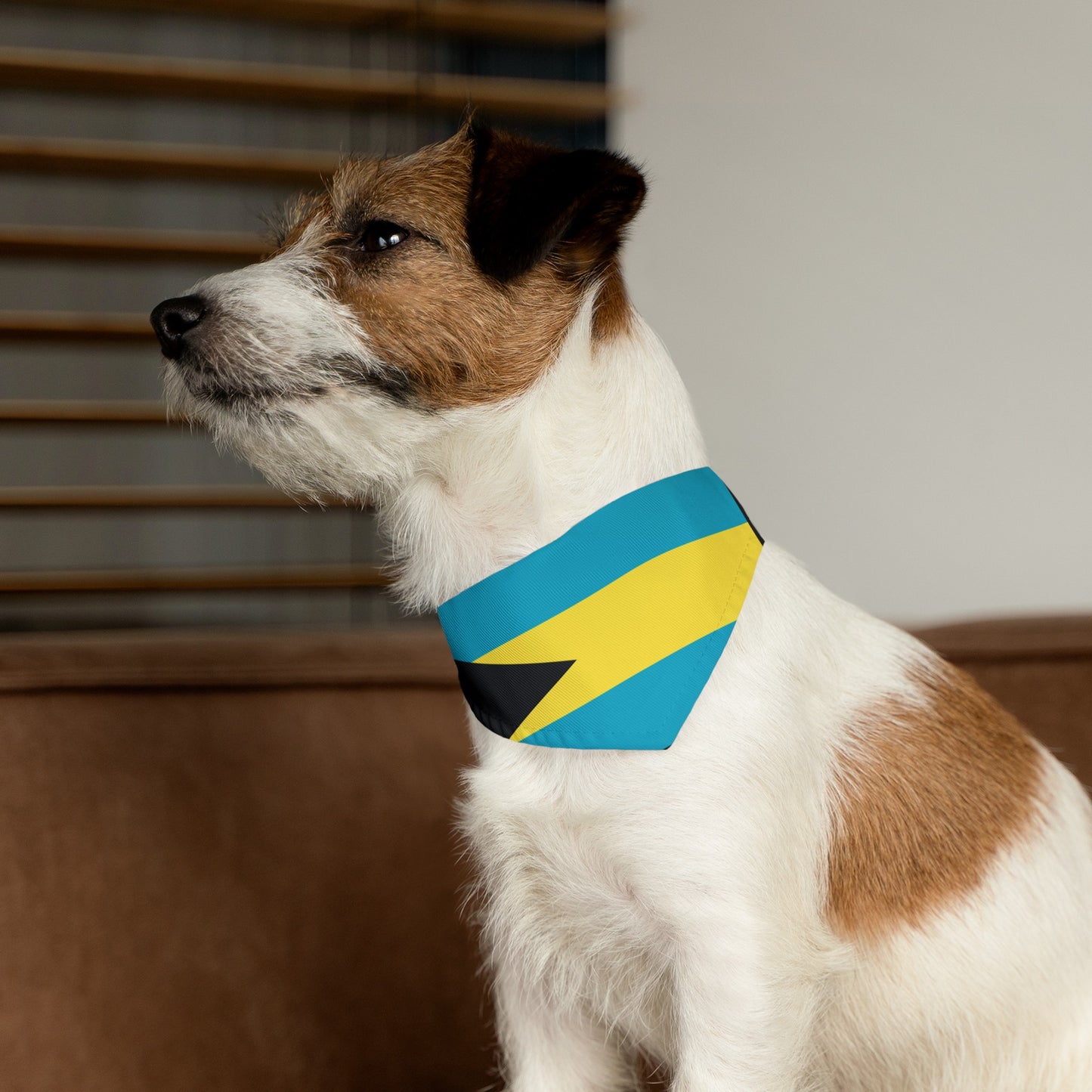 Bahamas Flag Pet Bandana Collar | Bahamian Dog Cat Animal