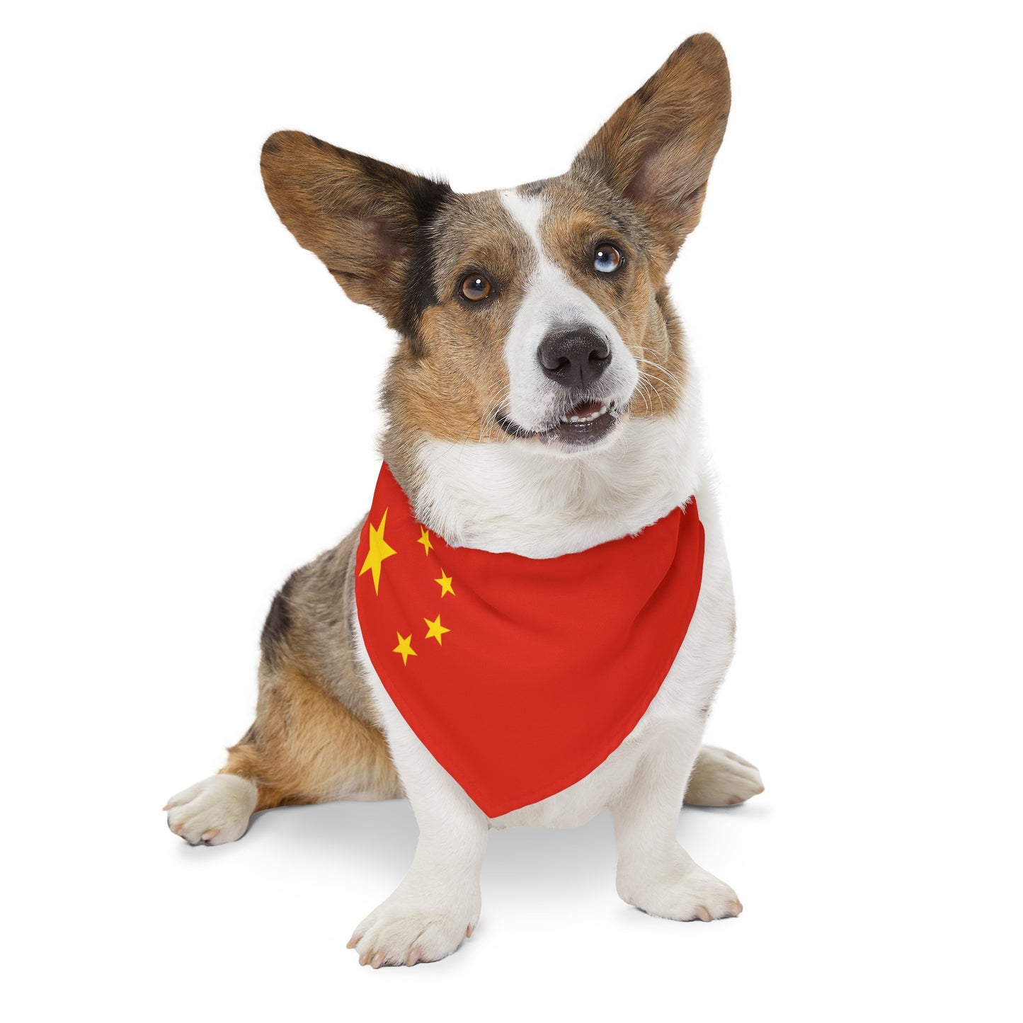 China Pet Bandana Collar Chinese Flag Dog Cat