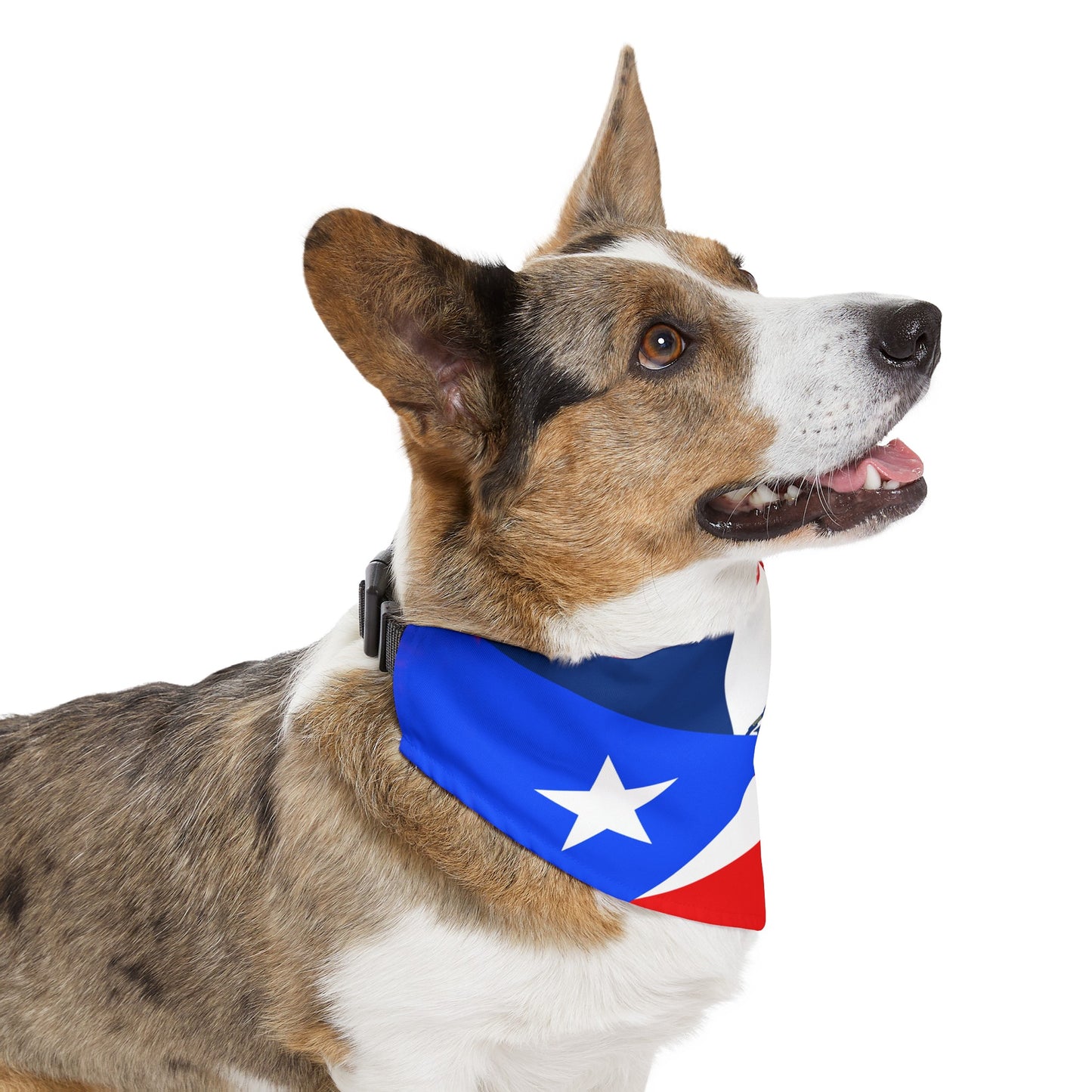 Puerto Rico Dominican Republic Pet Dog Cat Bandana Collar | PR DR