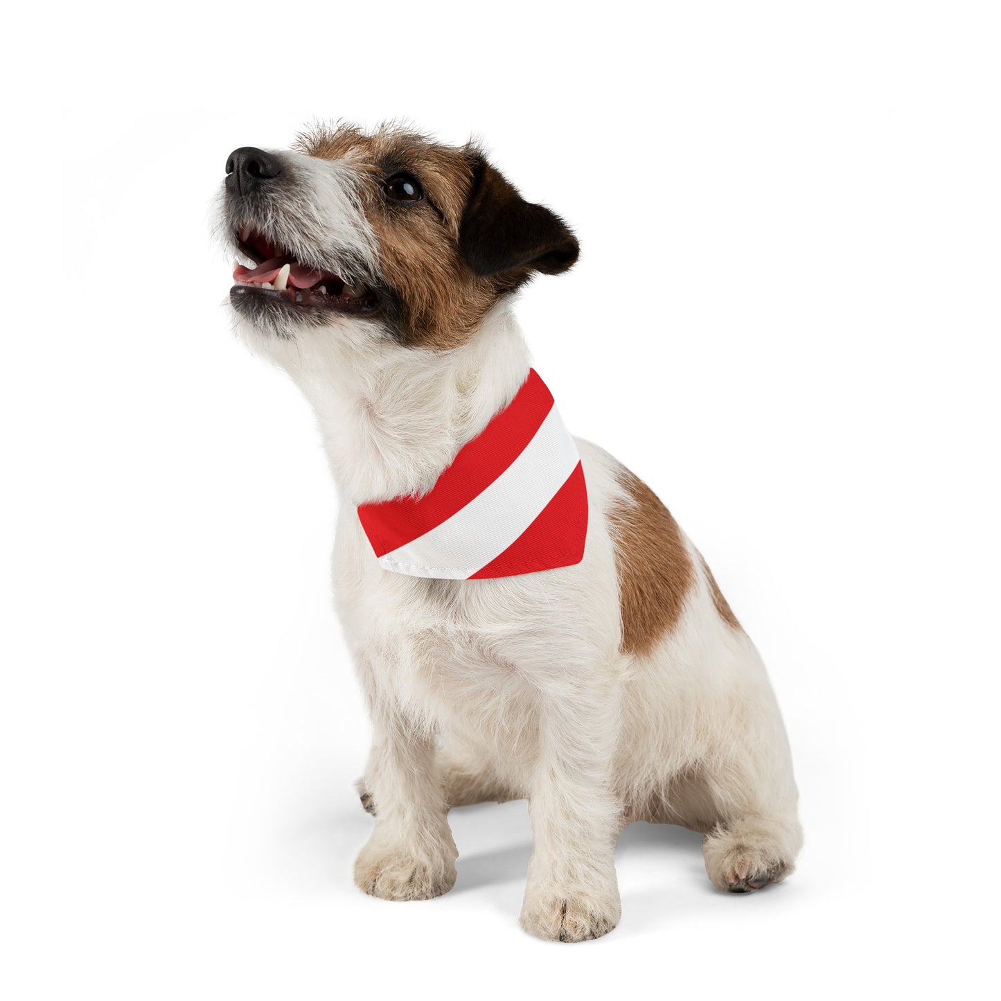 Austria Pet Bandana Collar | Austrian Dog Cat Animal