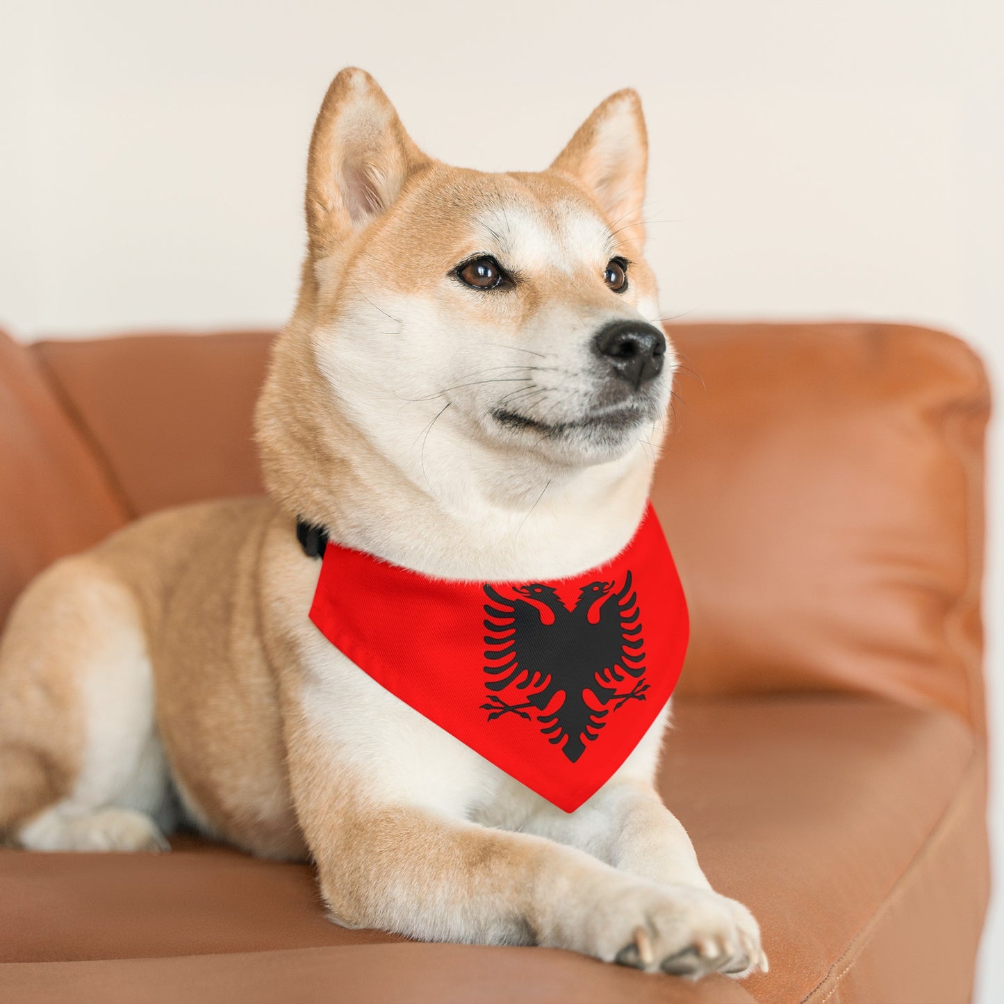 Albanian Flag Pet Bandana Collar | Albania Dog Cat Animal