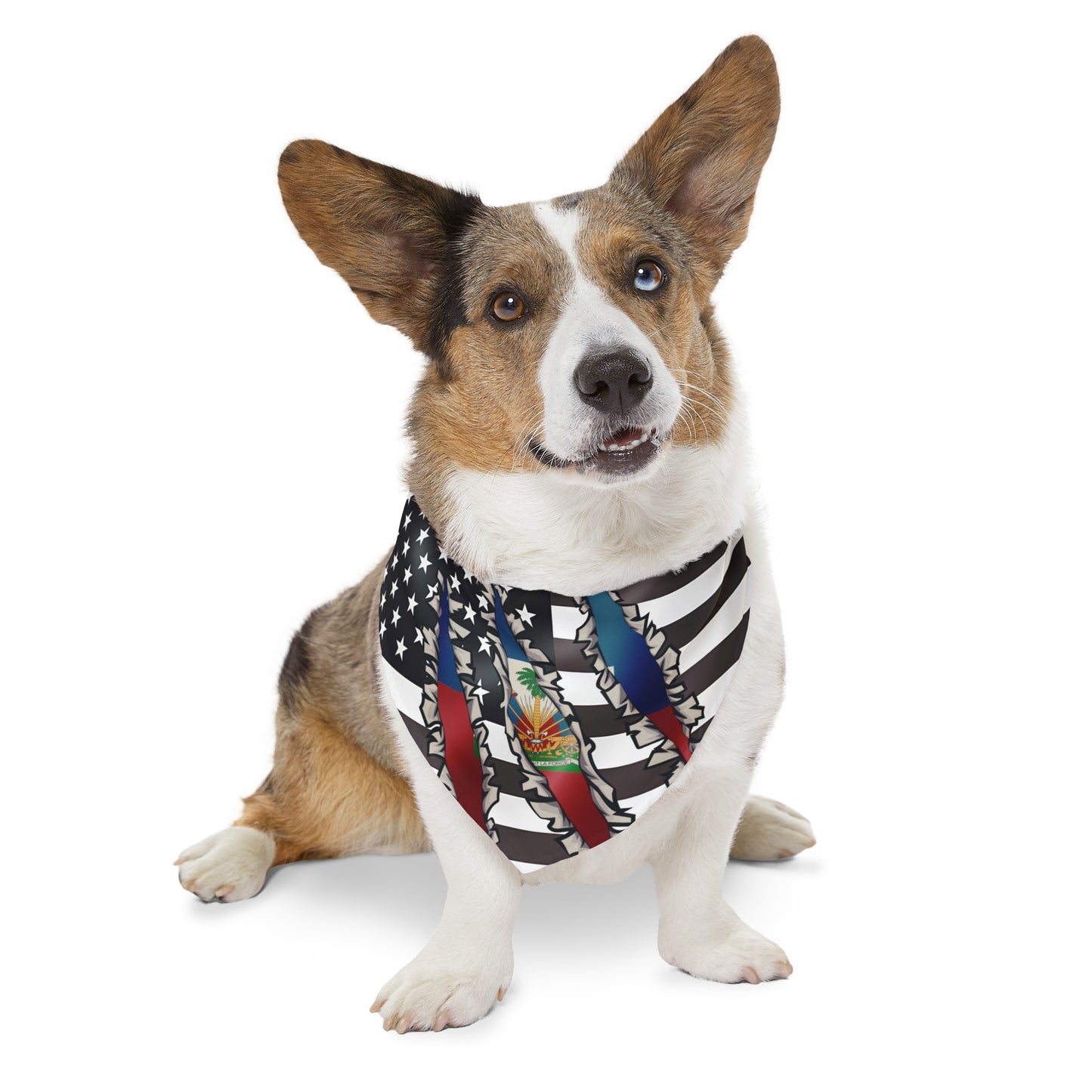 Haitian - American Flag Pet Bandana Collar | USA US Haiti Caribbean Dog Cat