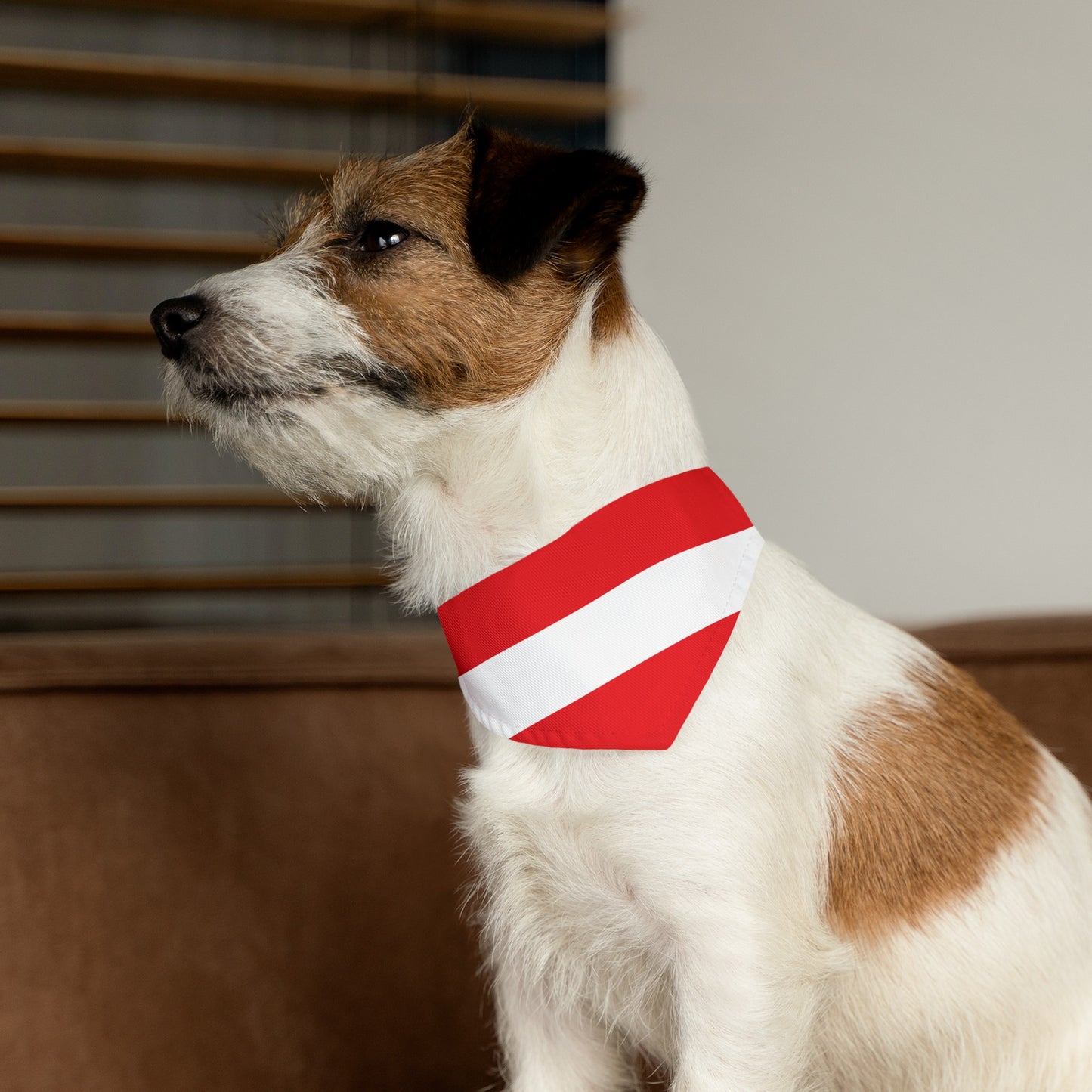 Austria Pet Bandana Collar | Austrian Dog Cat Animal