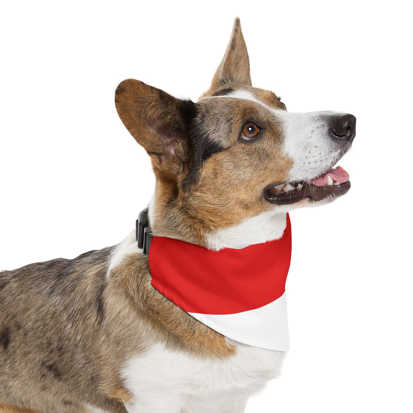 Indonesia Flag Pet Bandana Collar Indonesian Dog Cat