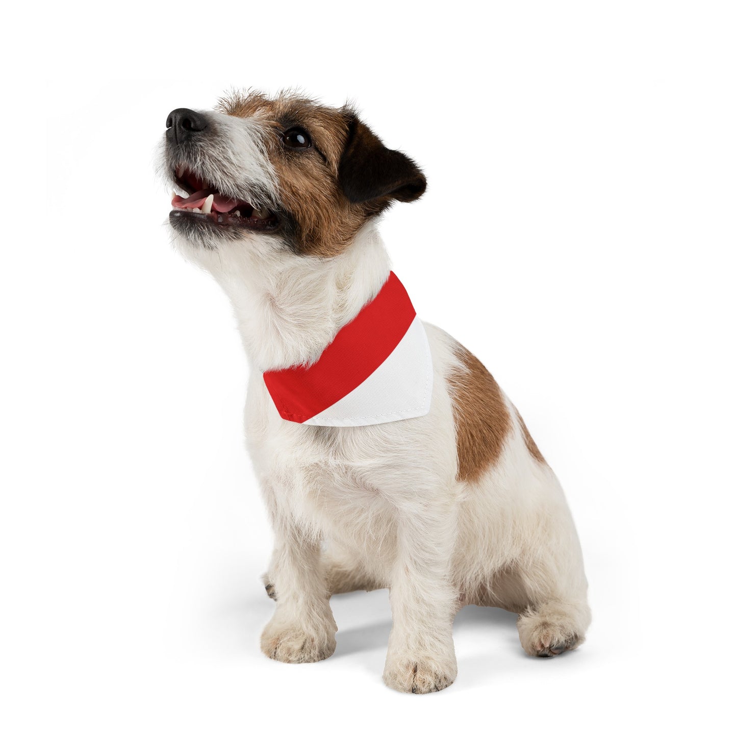 Indonesia Flag Pet Bandana Collar Indonesian Dog Cat