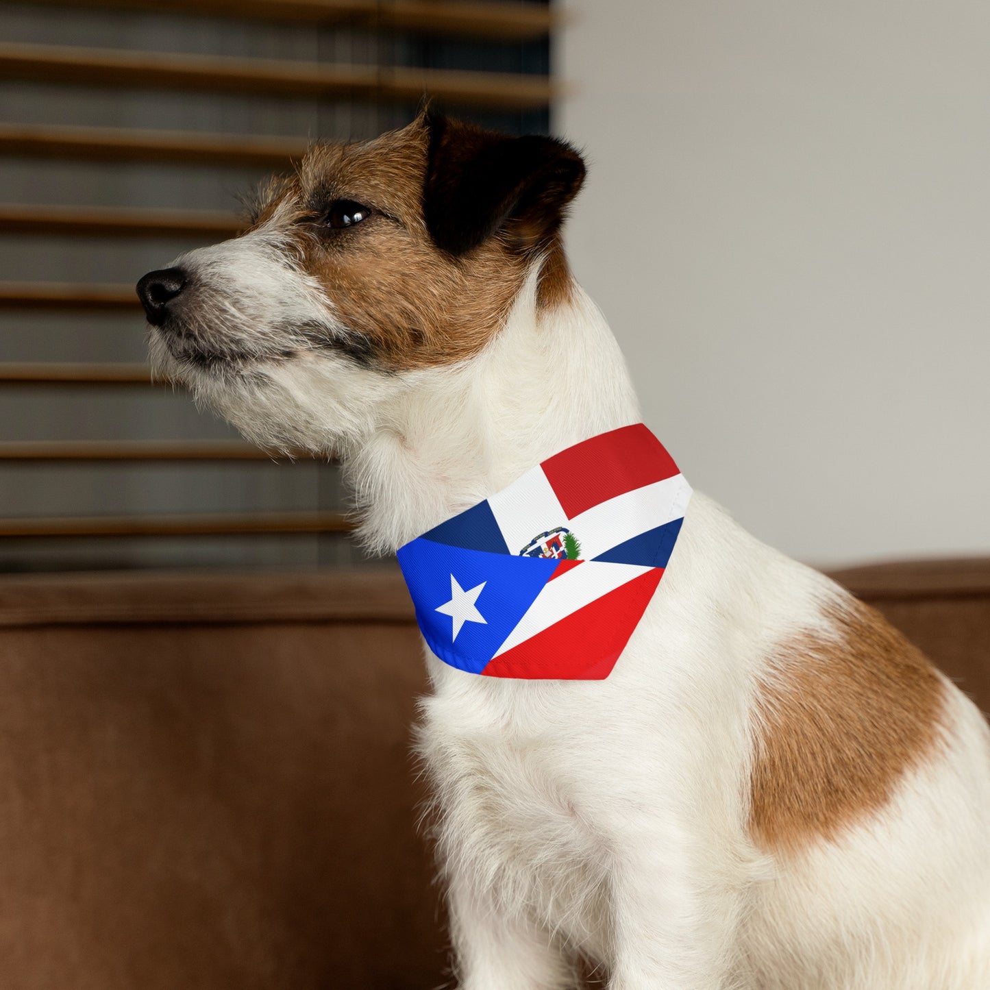 Puerto Rico Dominican Republic Pet Dog Cat Bandana Collar | PR DR