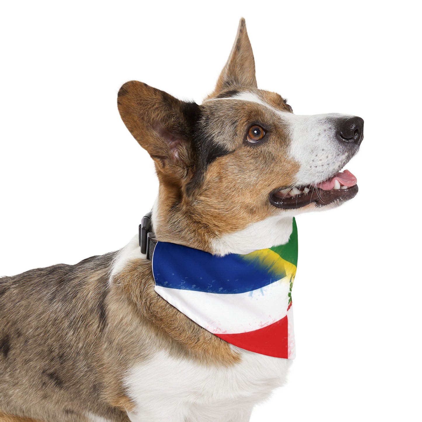 Dominican Republic Jamaican Flag Pet Bandana Collar Dog Cat DR Jamaica