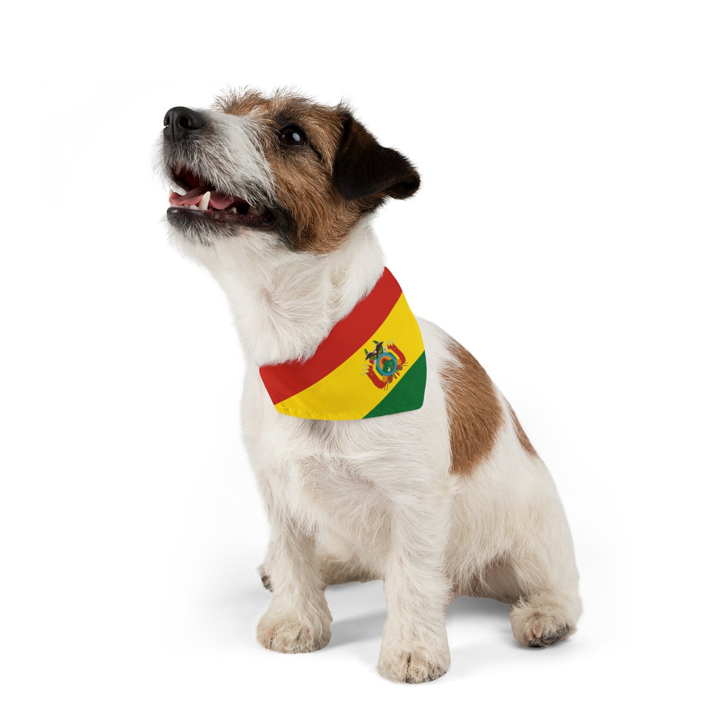 Bolivia Pet Dog Cat Animal Bandana Collar Bolivian