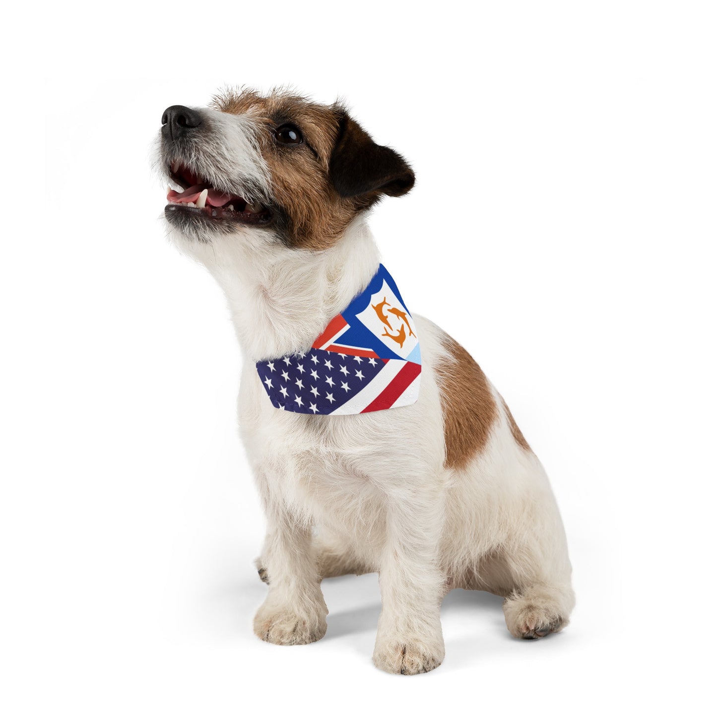 Anguilla American Flag Pet Bandana Collar | Anguillan Dog Cat Animal