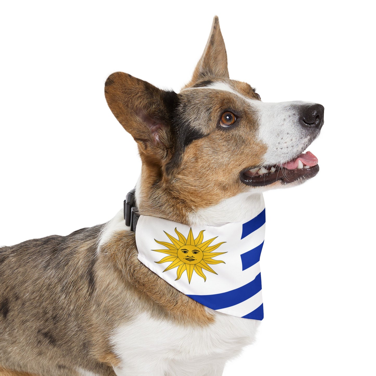 Uruguay Pet Dog Cat Animal Bandana Collar Uruguayan Flag