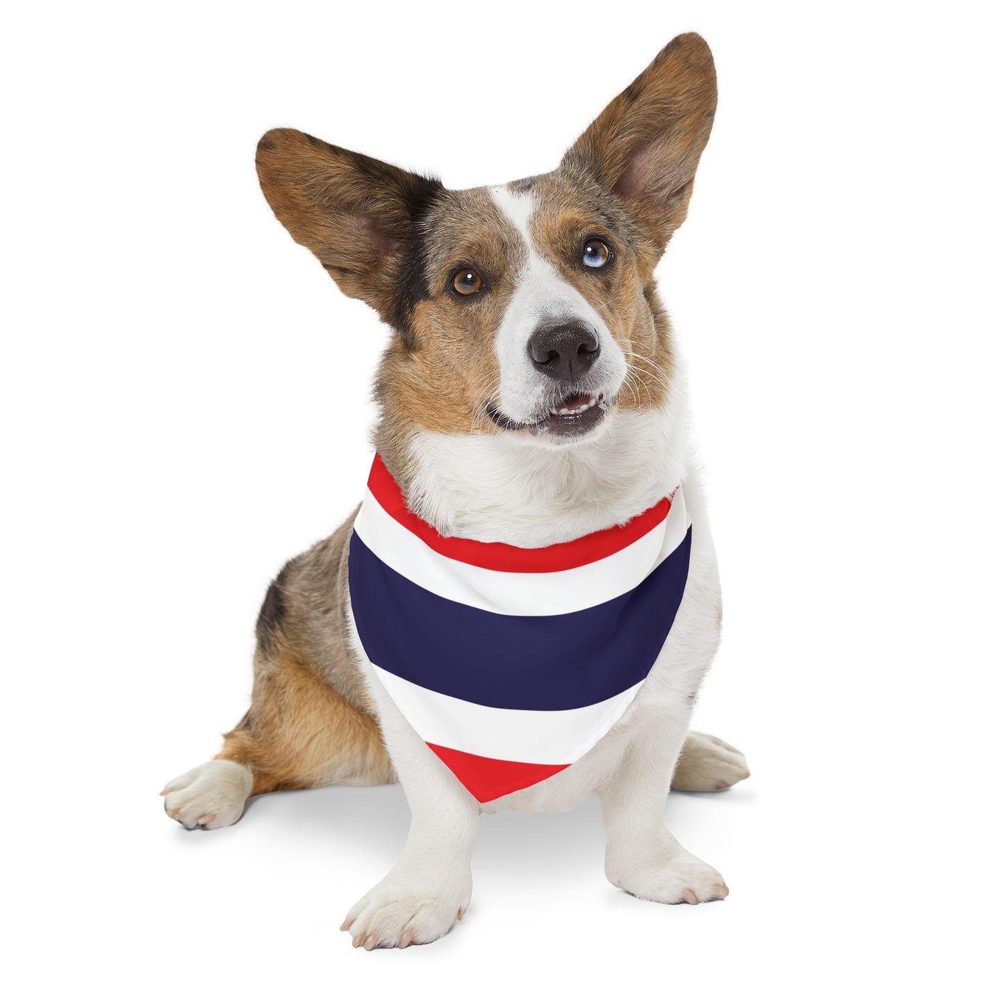 Thailand Pet Bandana Collar | Thai Flag Dog Cat Animal