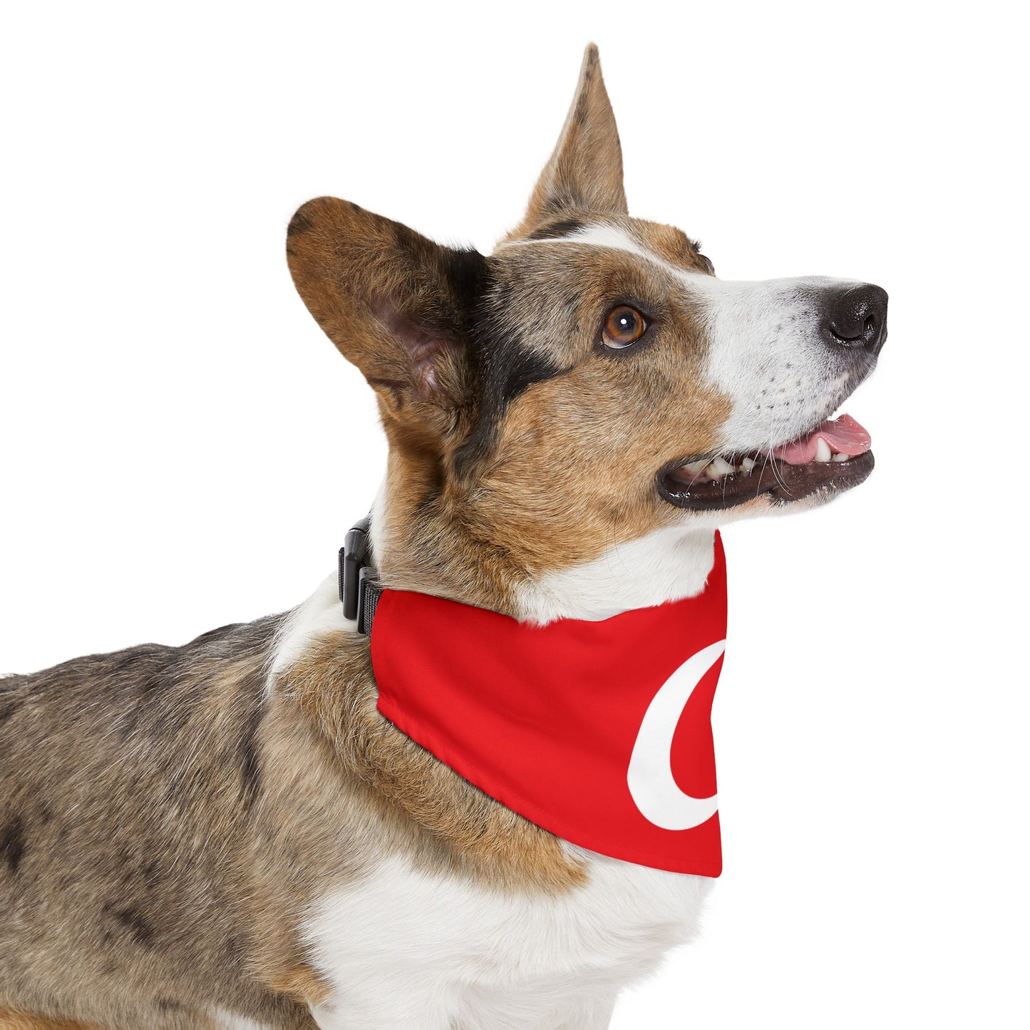 Turkey Pet Bandana Collar | Turkish Flag Dog Cat Animal