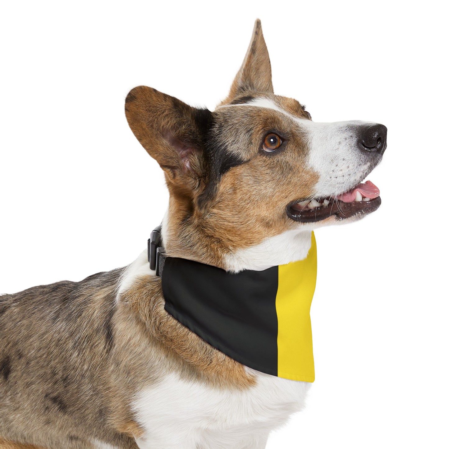 Belgium Pet Bandana Collar | Belgian Flag Dog Cat Animal