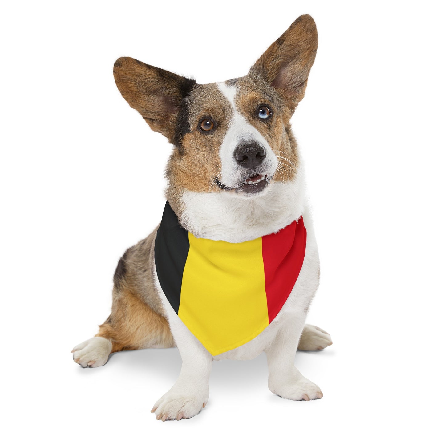 Belgium Pet Bandana Collar | Belgian Flag Dog Cat Animal