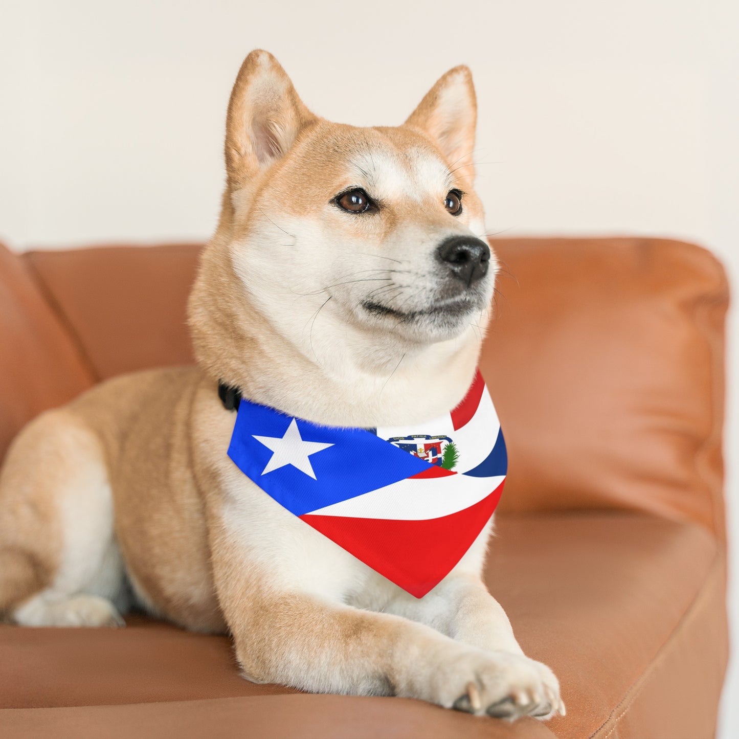 Puerto Rico Dominican Republic Pet Dog Cat Bandana Collar | PR DR