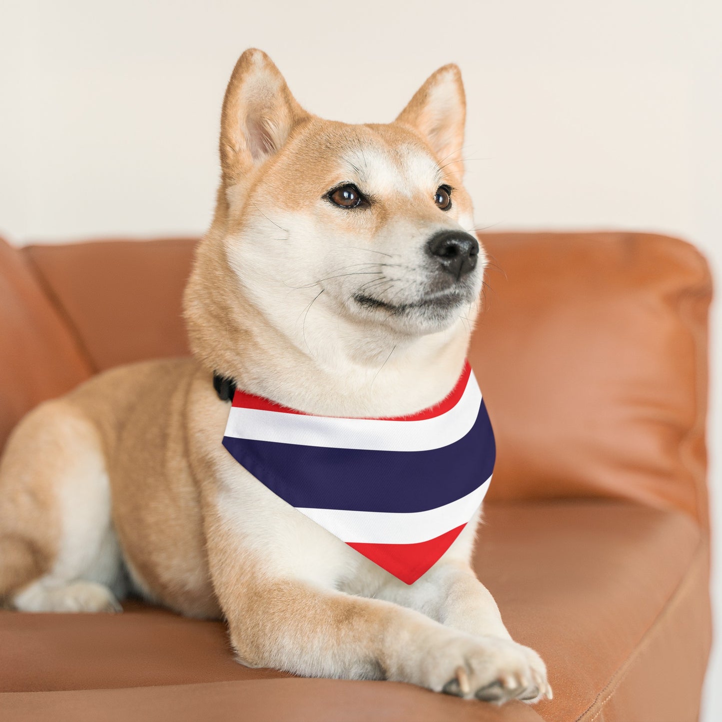 Thailand Pet Bandana Collar | Thai Flag Dog Cat Animal