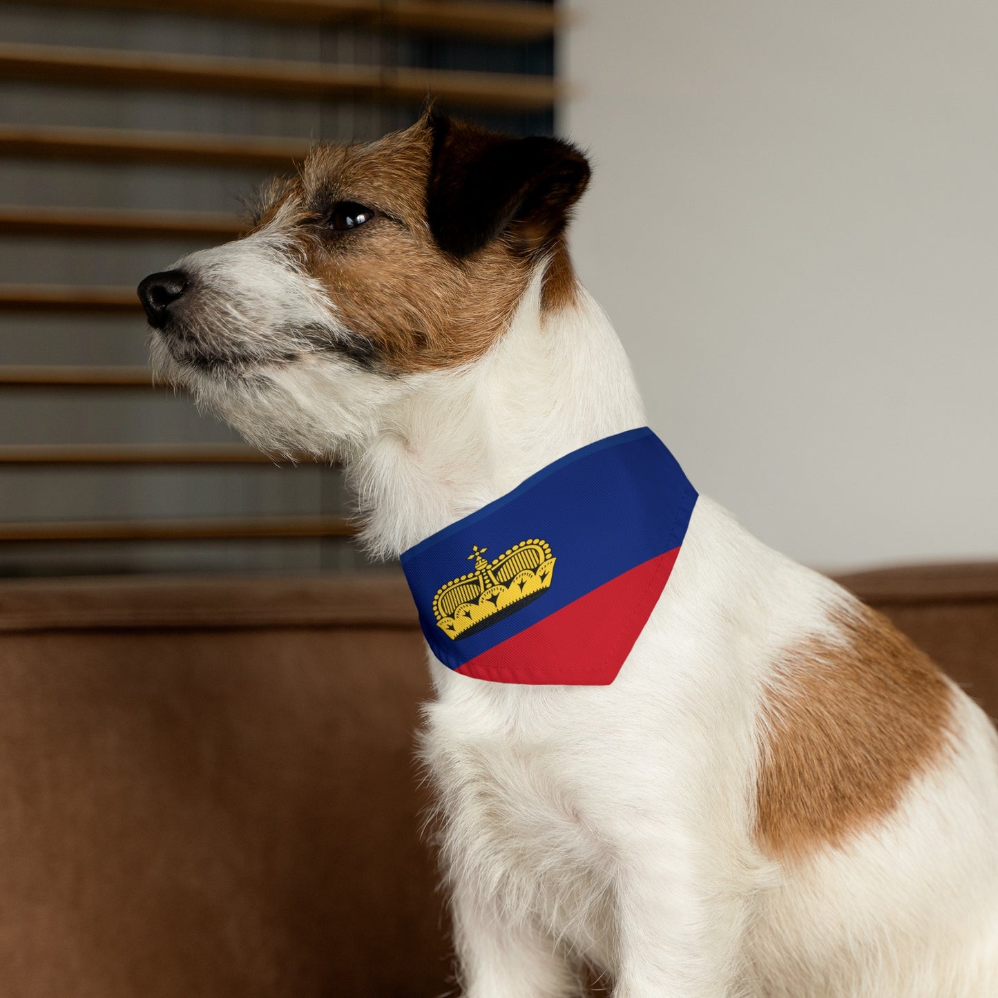 Liechtenstein Flag Pet Dog Cat Animal Bandana Collar