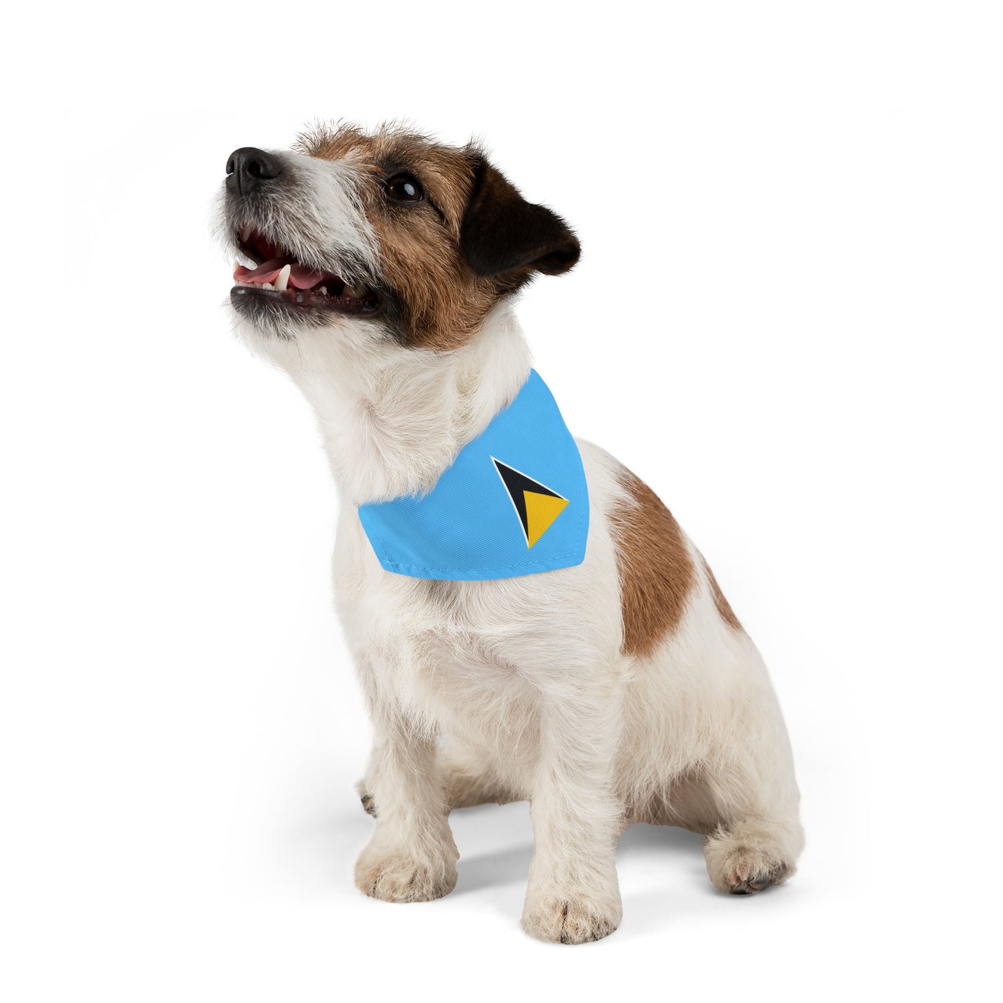 St. Lucian Pet Bandana Collar | St. Lucia Flag Dog Cat Animal