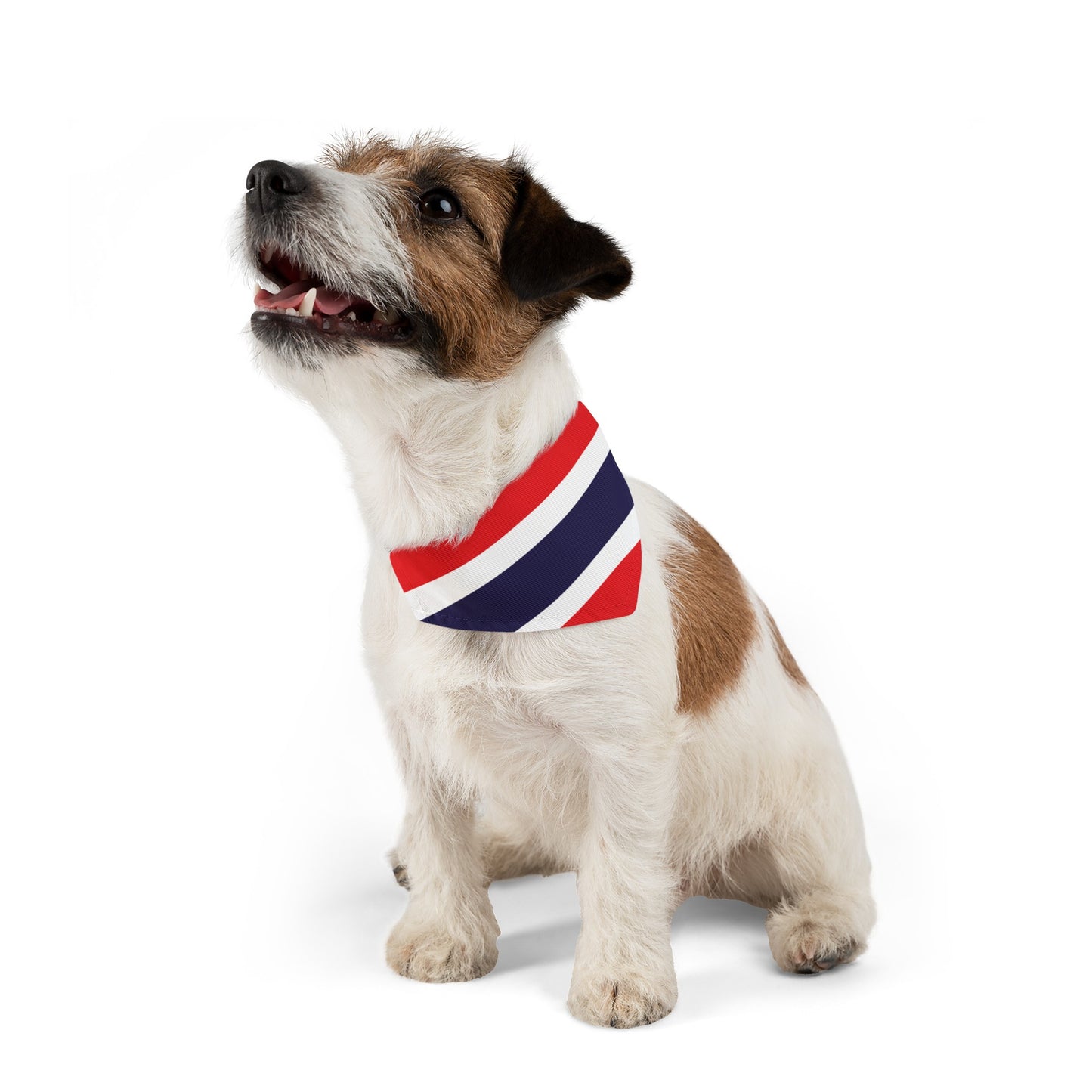 Thailand Pet Bandana Collar | Thai Flag Dog Cat Animal