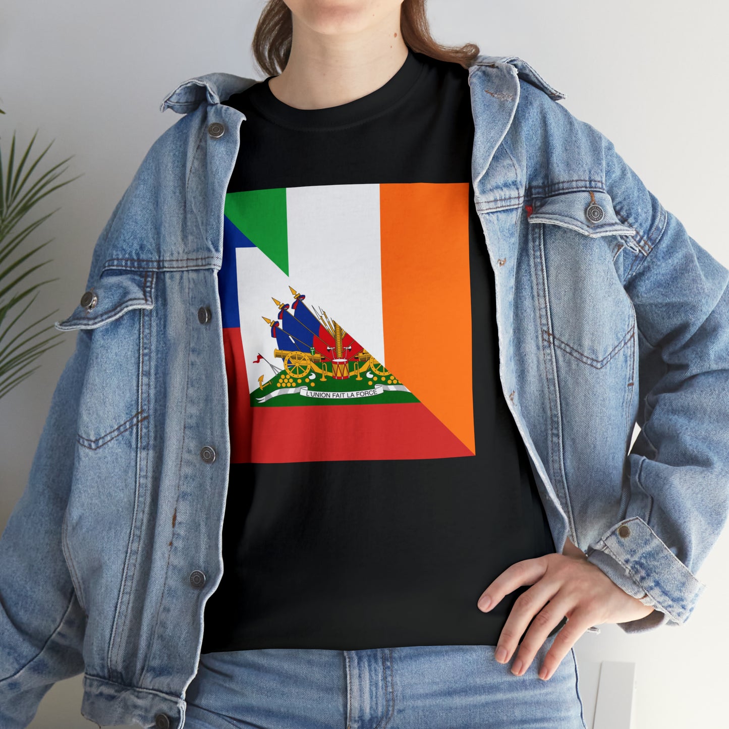 Haitian Irish Flag Half Haiti Ireland T-Shirt | Unisex Tee Shirt