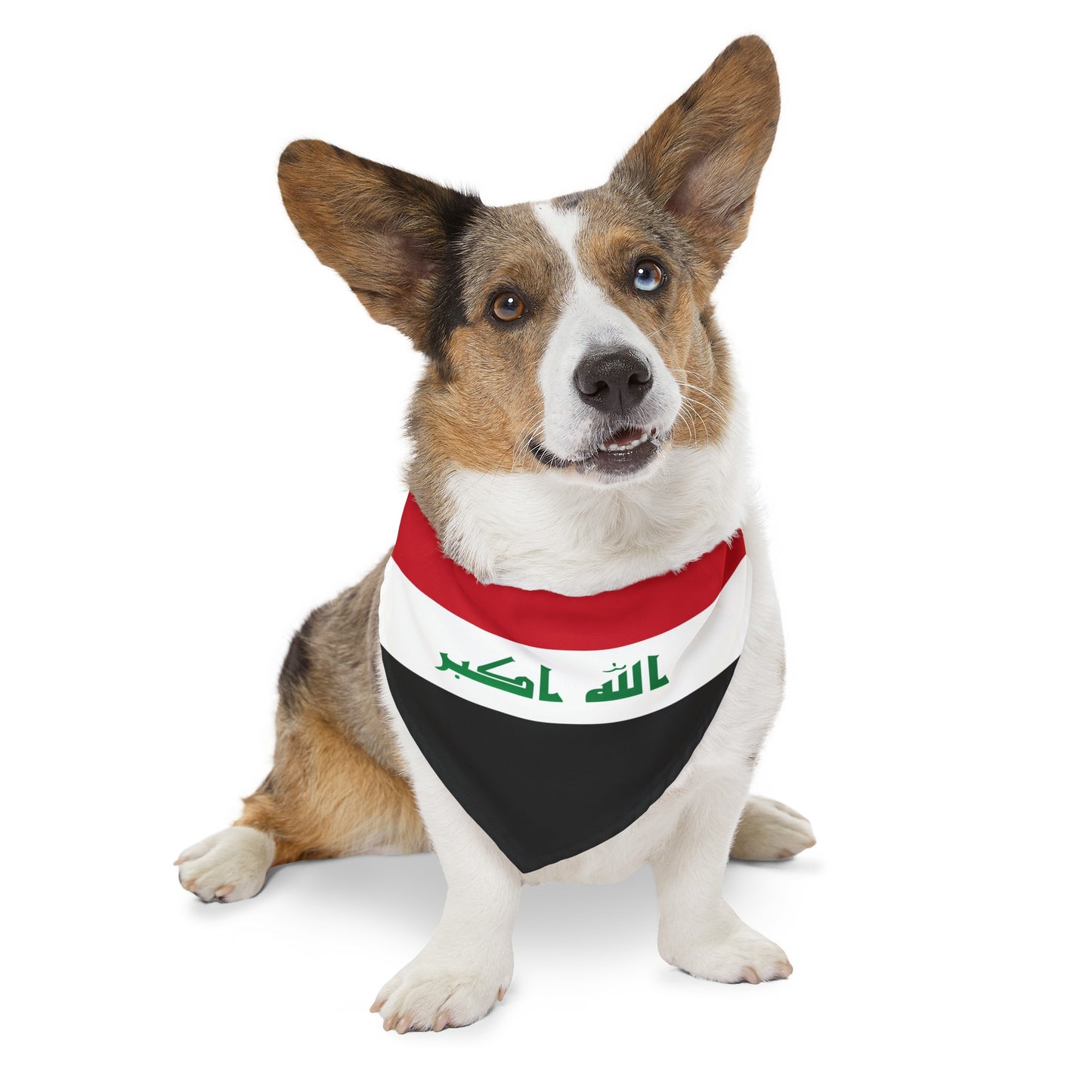 Iraq Pet Bandana Collar | Iraqi Dog Cat Animal