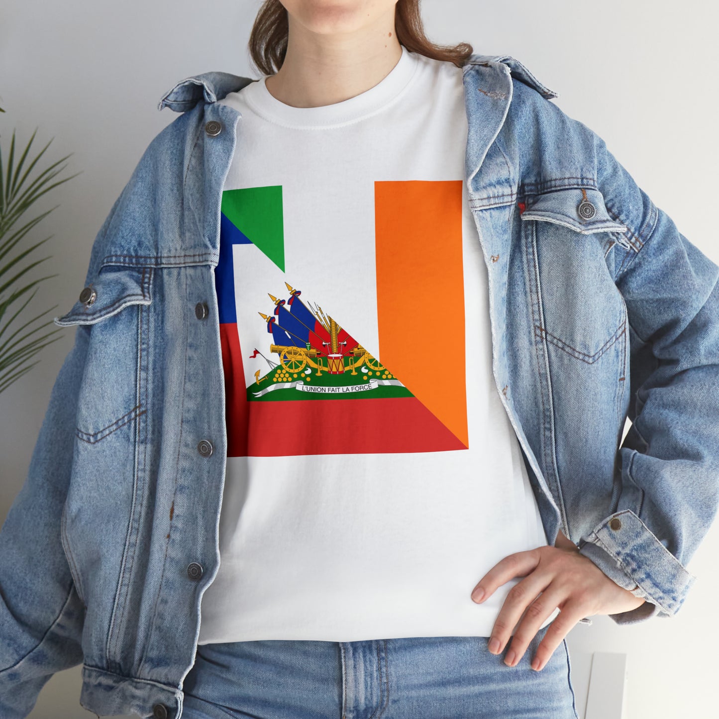 Haitian Irish Flag Half Haiti Ireland T-Shirt | Unisex Tee Shirt