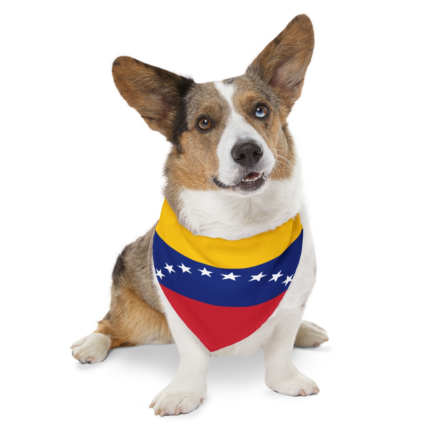 Venezuela Pet Bandana Collar | Venezuelan Flag Dog Cat Animal