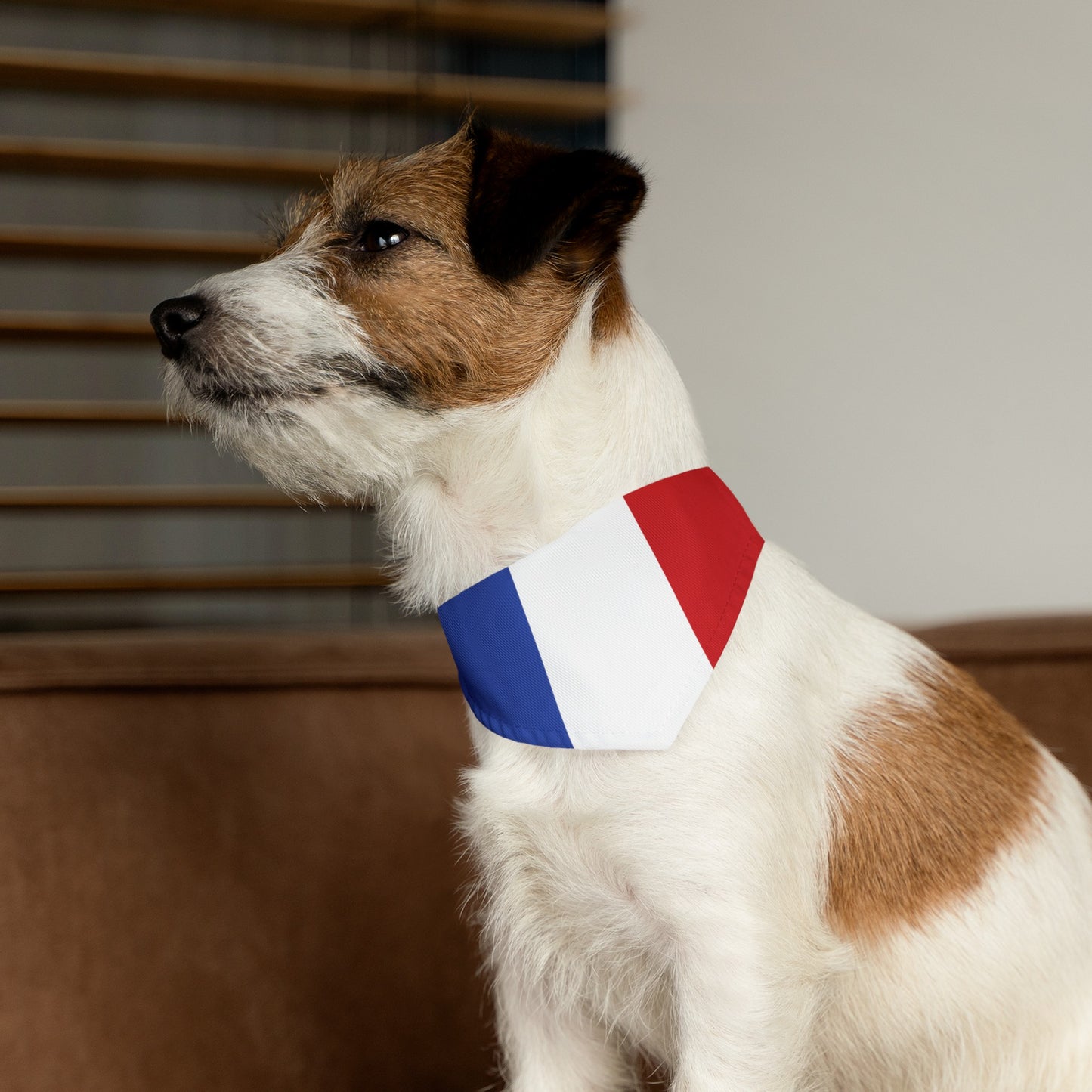 France Pet Bandana Collar French Dog Cat