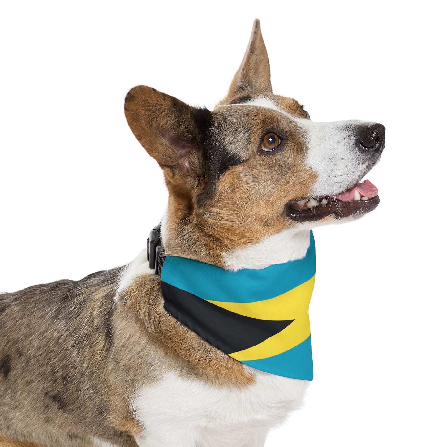 Bahamas Flag Pet Bandana Collar | Bahamian Dog Cat Animal